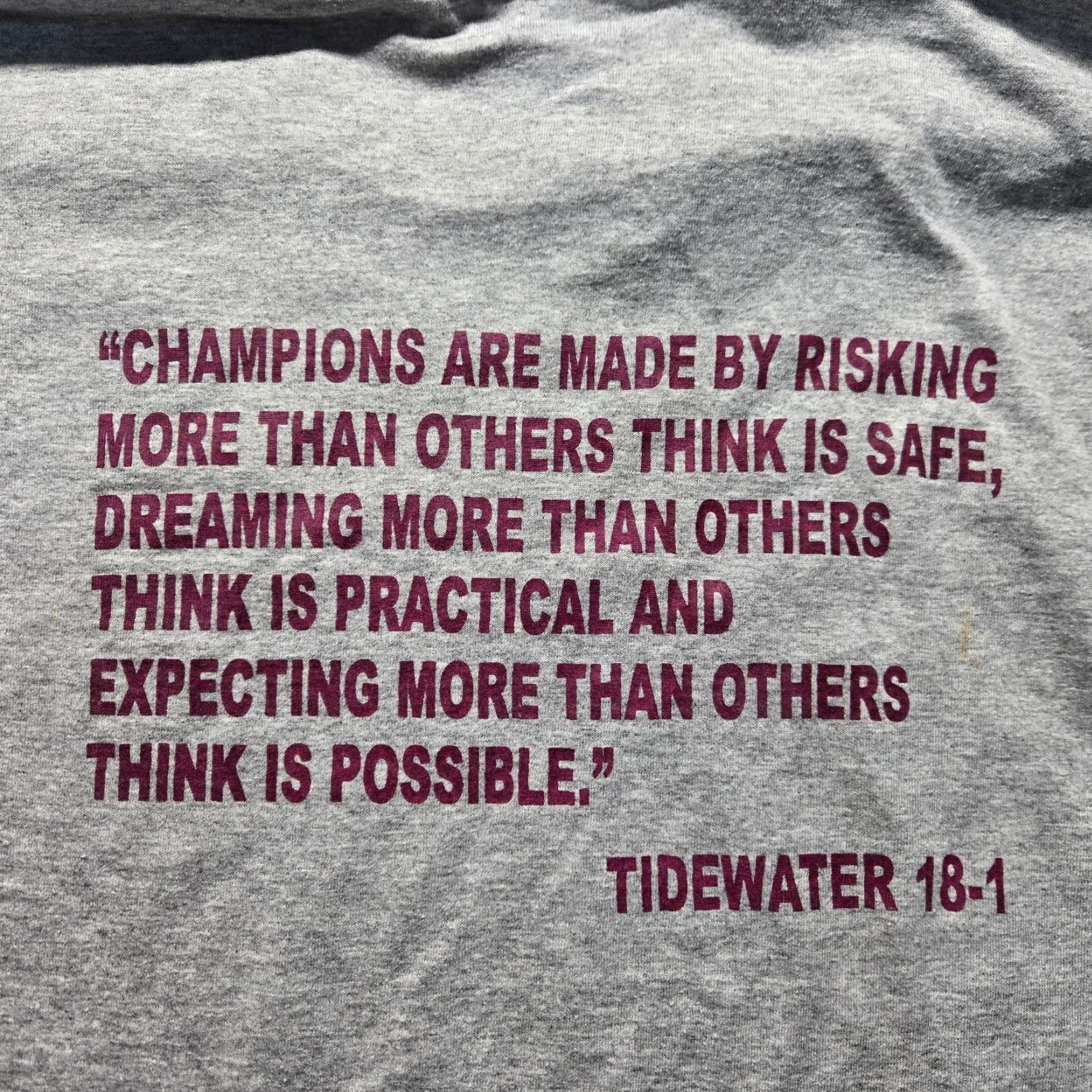 Vintage Tidewater VA Virginia Gray T-Shirt Shirt Women 2XL 2XL Adult Crew Neck Cotton Blend Volleyball 18-1 Sports Tee Womens Size XXL / US 16-18 / IT 52-54 - 7 Thumbnail