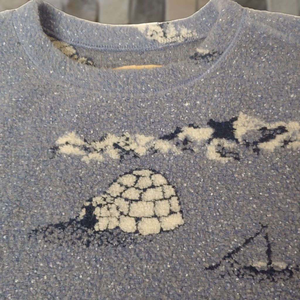 Vintage VINTAGE Woolrich Fleece Shirt XL Blue Igloo Ice Fishing Sweatshirt Snow Ski USA Womens Size XL / US 12-14 / IT 48-50 - 1 Thumbnail