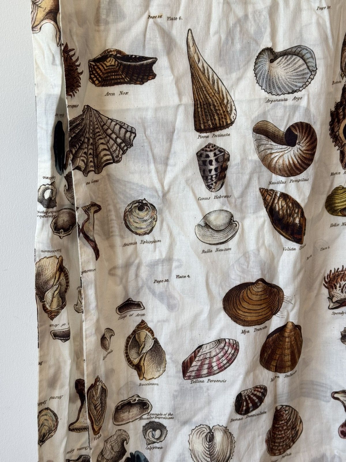 Paul Harnden Shoemakers Shell Printed Cotton Scarf Size ONE SIZE - 2 Thumbnail