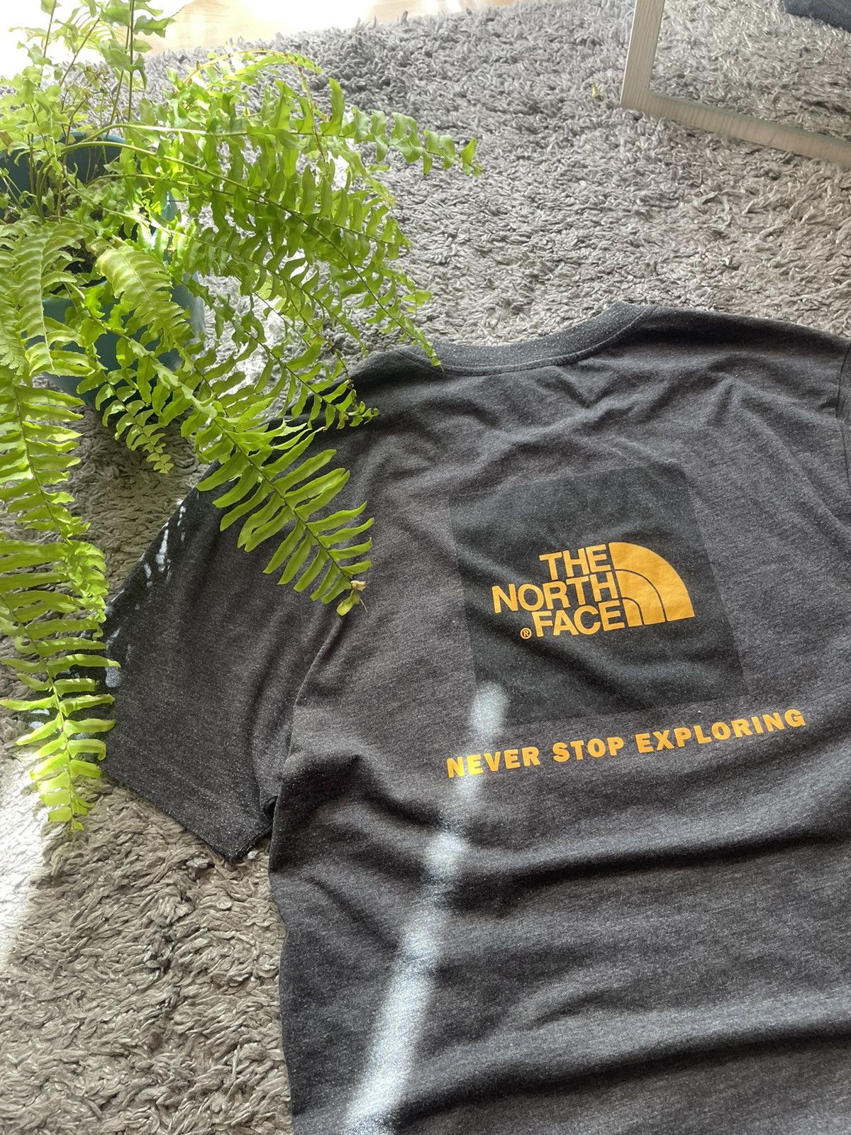 The North Face The North Face T-Shirt Streetwear Gorpcore Outdoor Big Logo Size US S / EU 44-46 / 1 - 7 Thumbnail