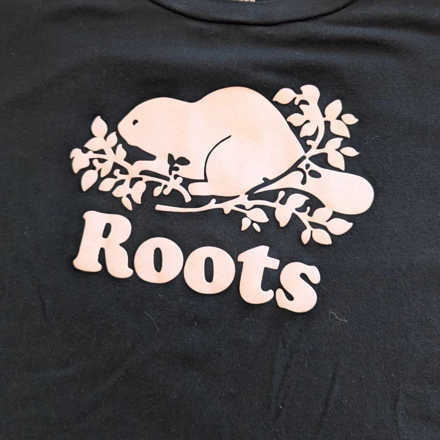 Roots Roots Logo Varsity Green Organic Cotton Beaver Short T-Shirt Size XS / US 0-2 / IT 36-38 - 5 Thumbnail