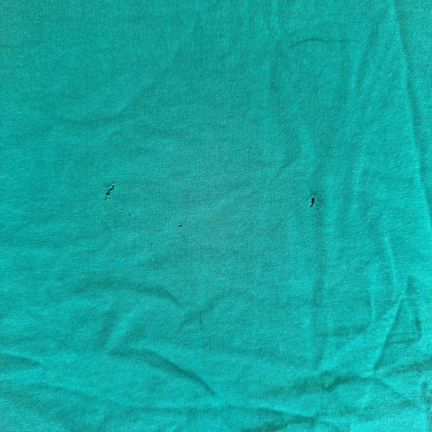 Hanes Vintage 90s Hidden Lake Landscape T-Shirt Gorpcore Single St Size US XL / EU 56 / 4 - 6 Thumbnail