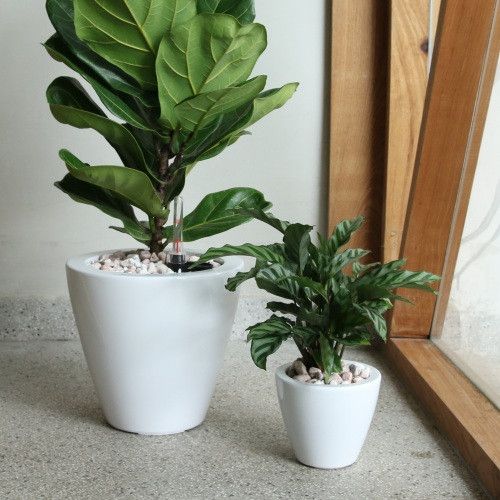 Designer × Homemade 2-Pack Smart Self-watering Planter Pot for Indoor and Outdoo Size US L / EU 52-54 / 3 - 4 Thumbnail