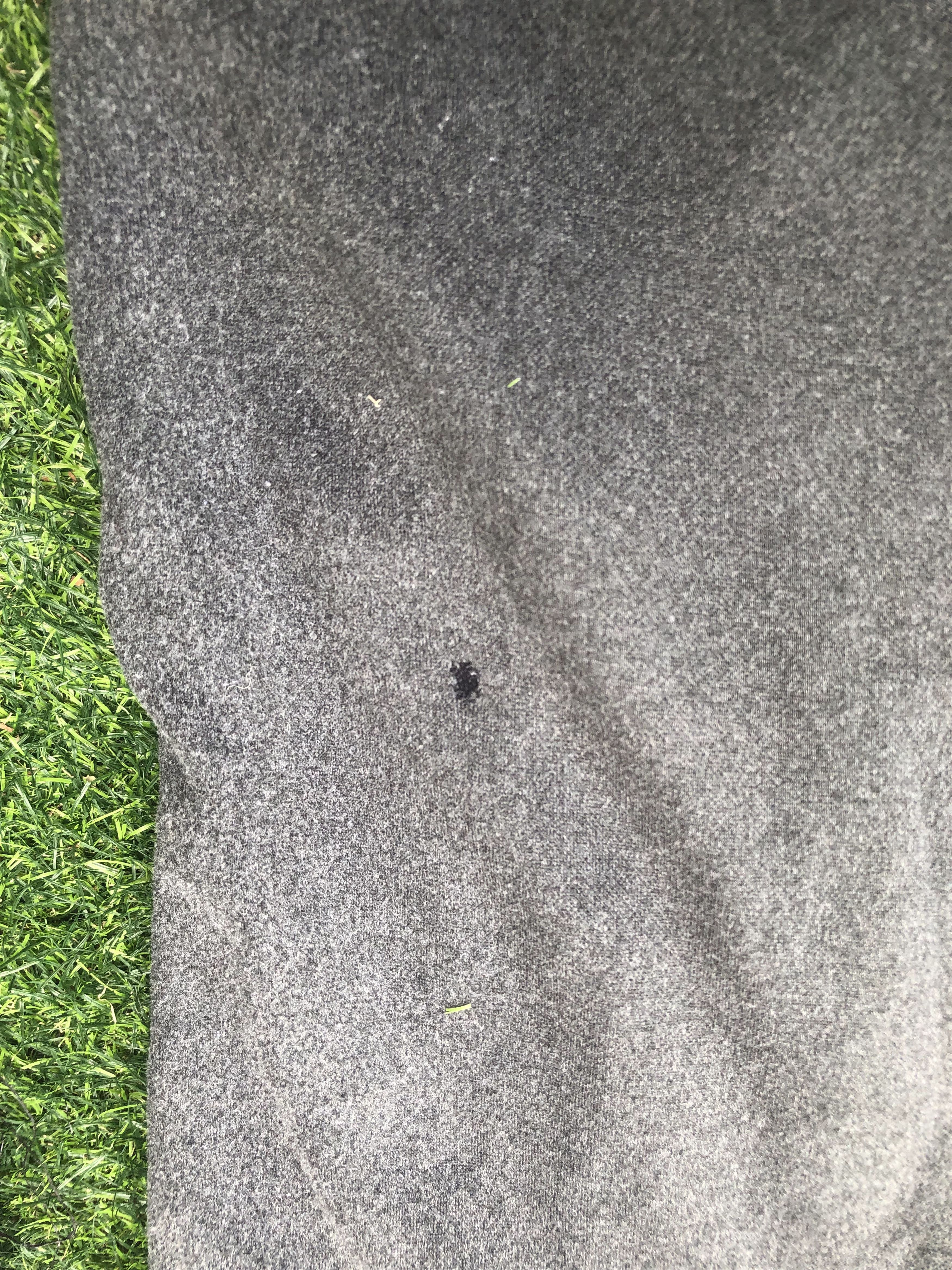 Nike Nike Pants (P017) Size US 31 - 8 Thumbnail