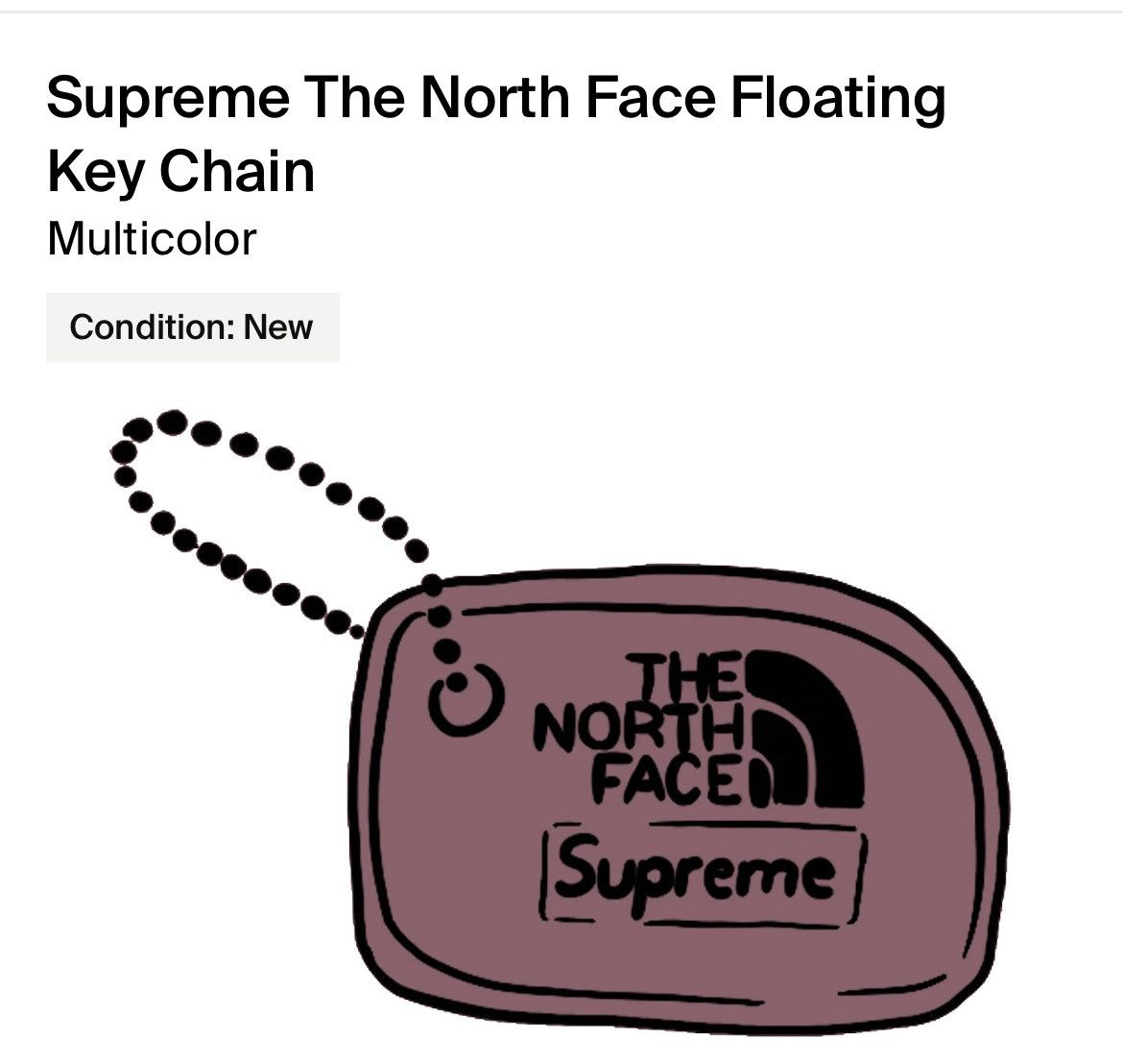 Supreme × The North Face BRAND NEW* Supreme®/The North Face