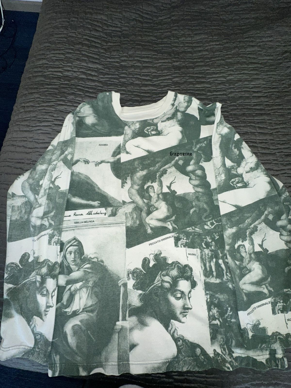 Supreme Michelangelo L S | Grailed