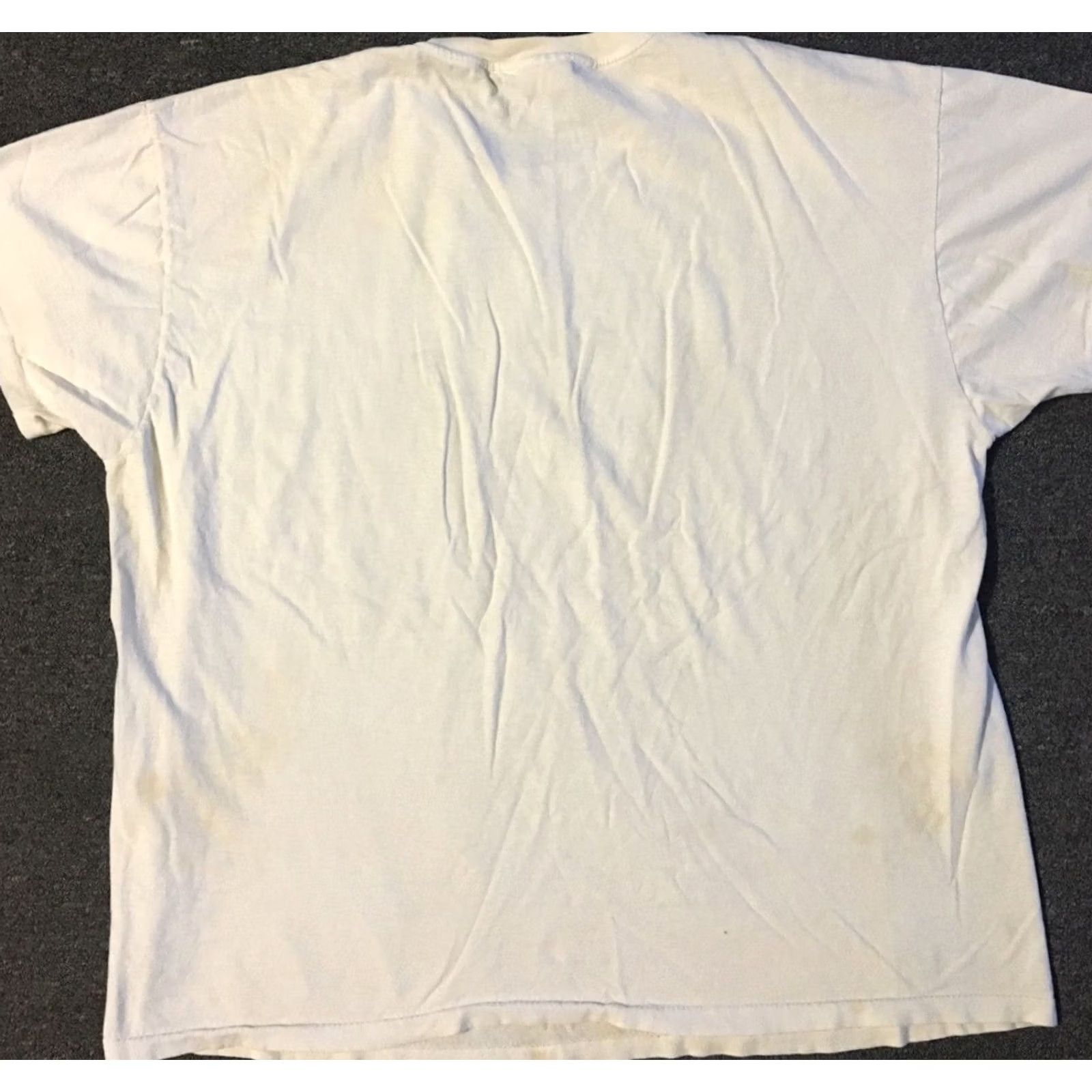 Hanes VINTAGE Westside Internet Thrashed Faded Distressed Shirt 2XL White Men T-Shirt 90s Grunge Vaporwave TV Disney Hanes Size US XXL / EU 58 / 5 - 6 Thumbnail