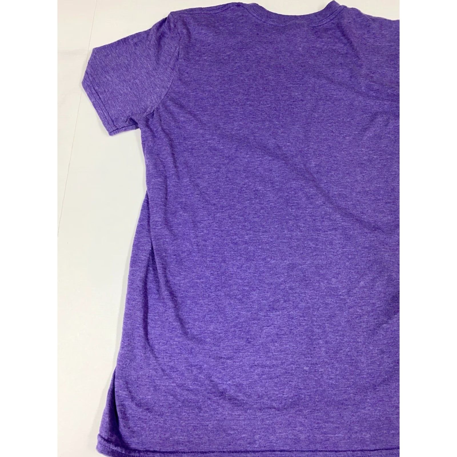 Anvil Ministries Mens Shirt M purple Lion Logo Crew Neck Cotton T-Shirt Short Sleeve Regular Size US M / EU 48-50 / 2 - 6 Thumbnail
