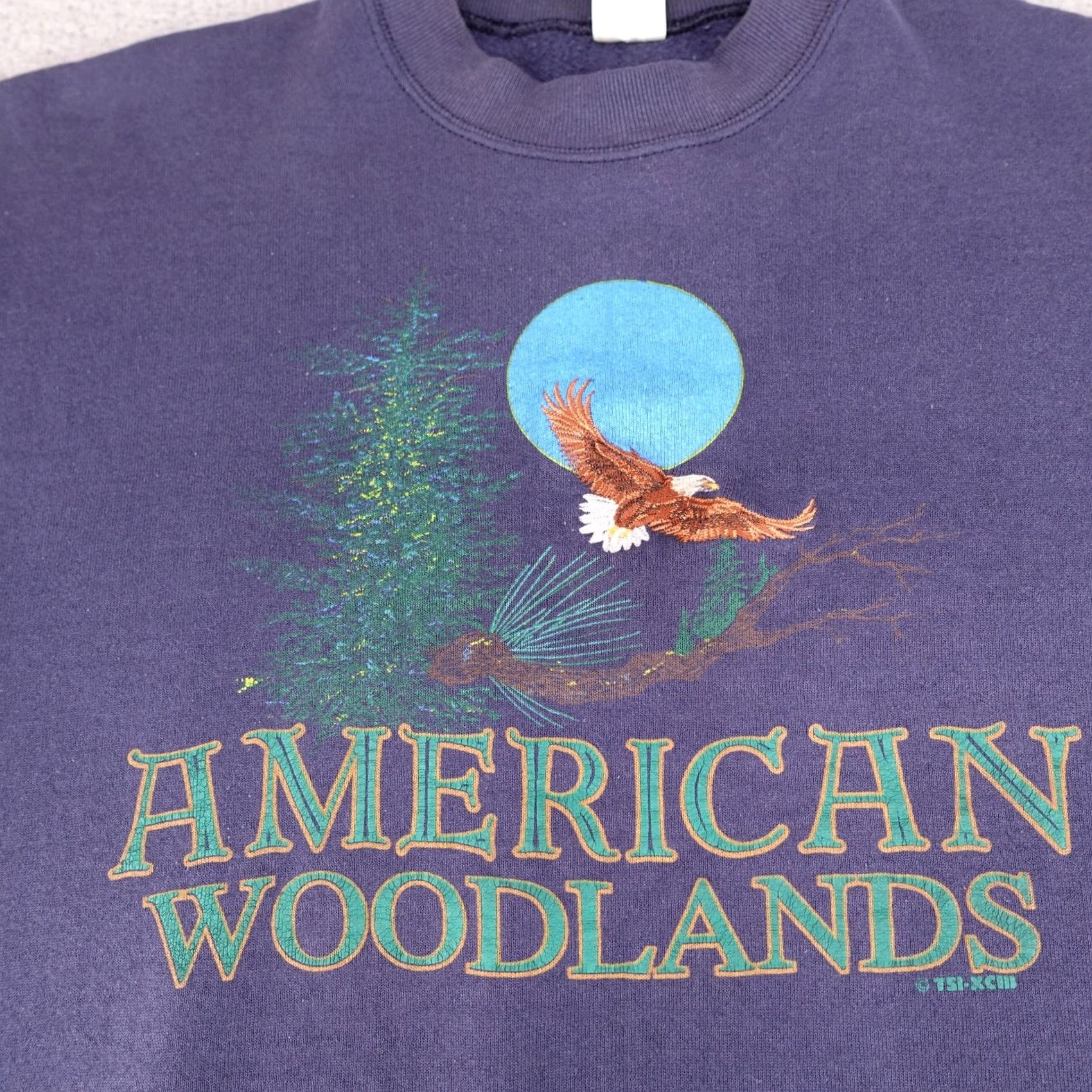 Fruit Of The Loom VINTAGE Bald Eagle Sweatshirt Mens Large Blue 90s Pullover American Woodlands Nike? Size US L / EU 52-54 / 3 - 2 Thumbnail