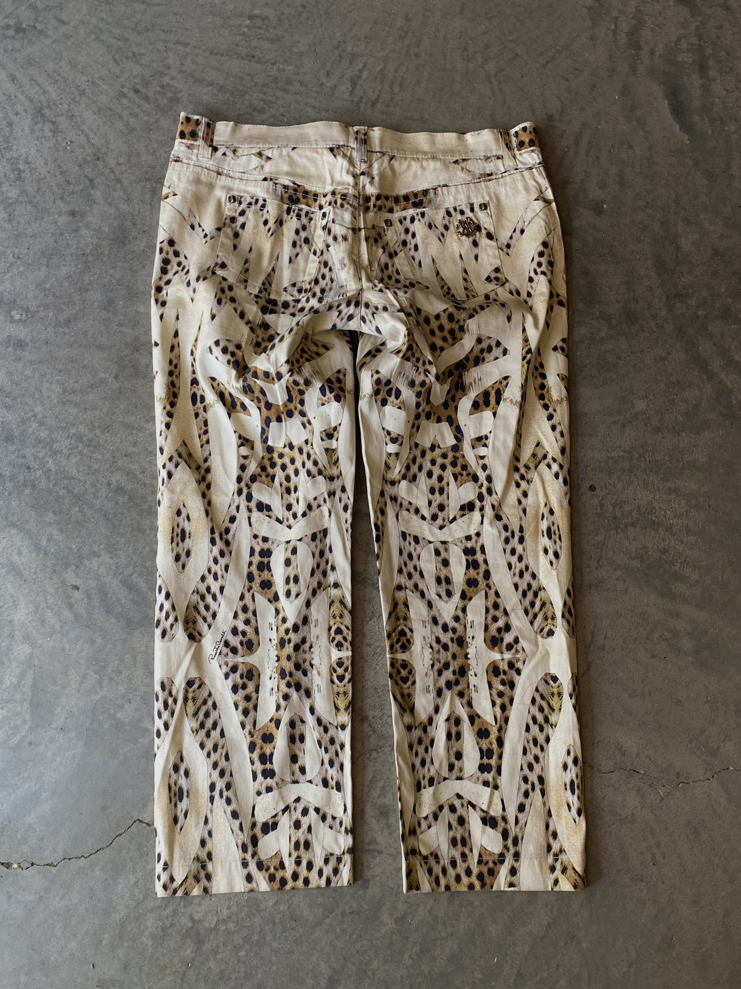Roberto Cavalli Roberto Cavalli 2007 Printed Leopard Pants Size 34" / US 12 / IT 48 - 2 Thumbnail