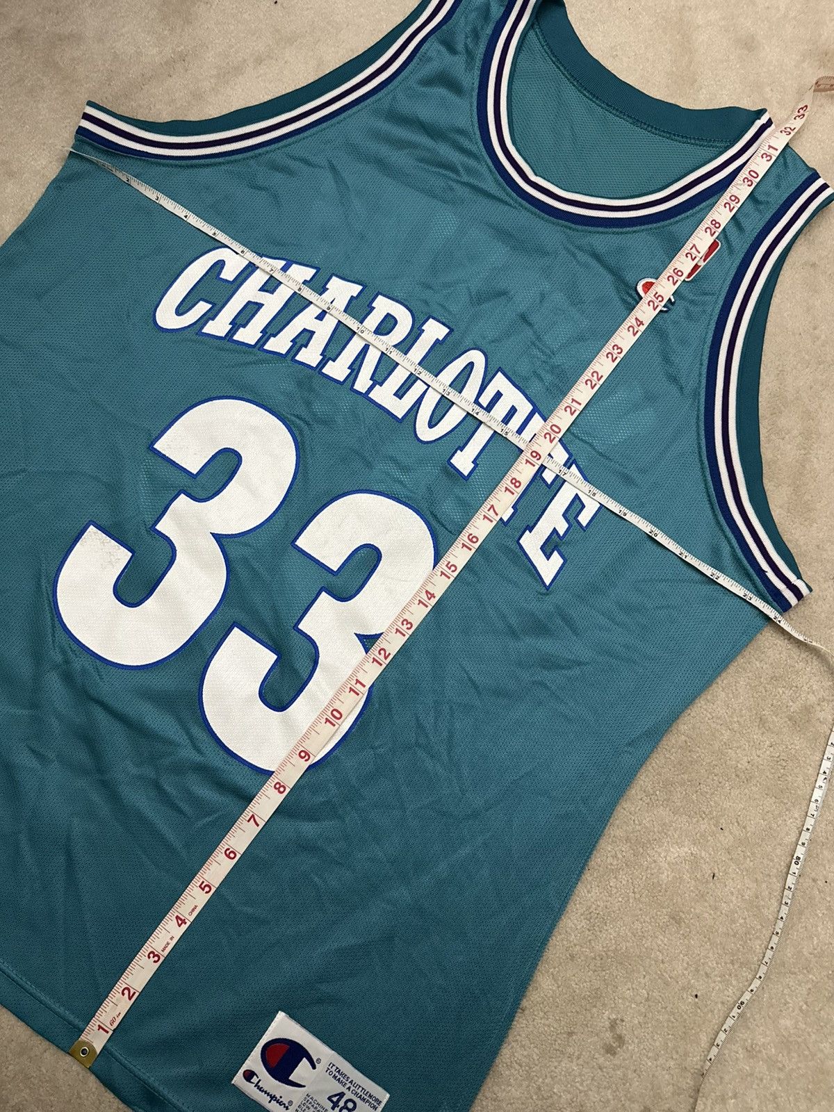 Champion VINTAGE CHAMPION ALONZO MOURNING CHARLOTTE HORNETS JERSEY 48 Size US XL / EU 56 / 4 - 8 Thumbnail