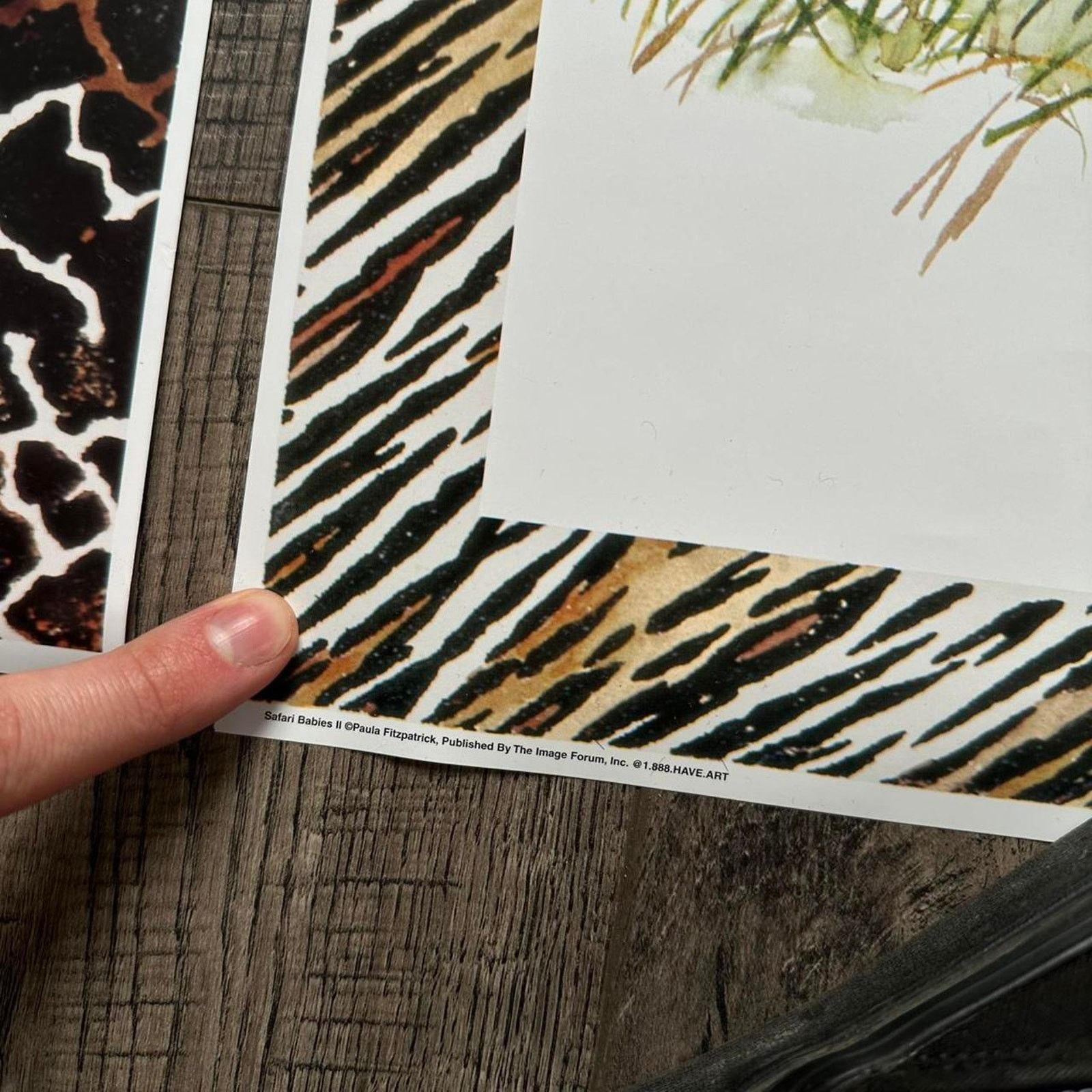 Vintage Vintage Giraffe Zebra Animal Wildlife Safari Nature Poster Size ONE SIZE - 4 Thumbnail