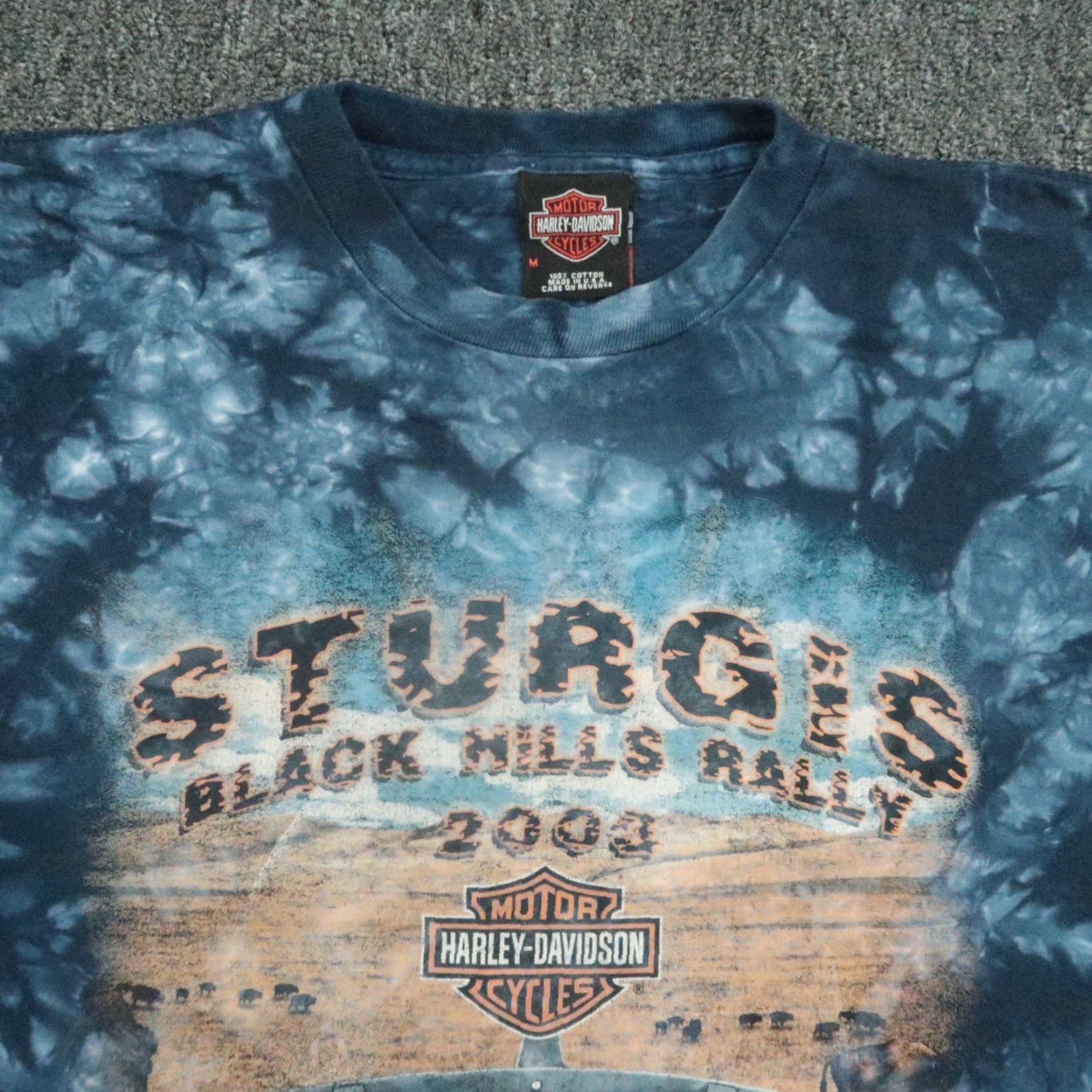 Harley Davidson VINTAGE Harley-Davidson Shirt Men Medium Blue Sturgis Black Hills Rally 2003 Shirt Mens M Blue Harley-Davidson Vintage Sturgis 2003 Size US M / EU 48-50 / 2 - 2 Thumbnail