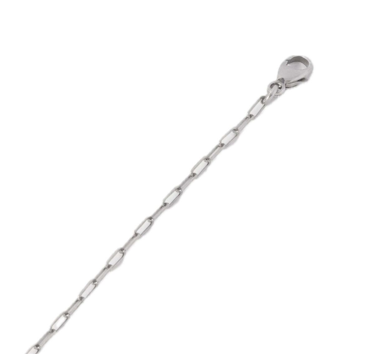 Saint Laurent Paris Saint Laurent Long Chain Necklace Silver NWT Size ONE SIZE - 5 Thumbnail