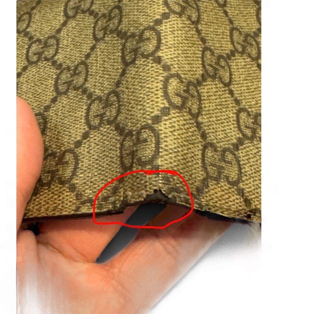 Gucci GUCCI Bill Compartment Beige x brown Size ONE SIZE - 3 Thumbnail