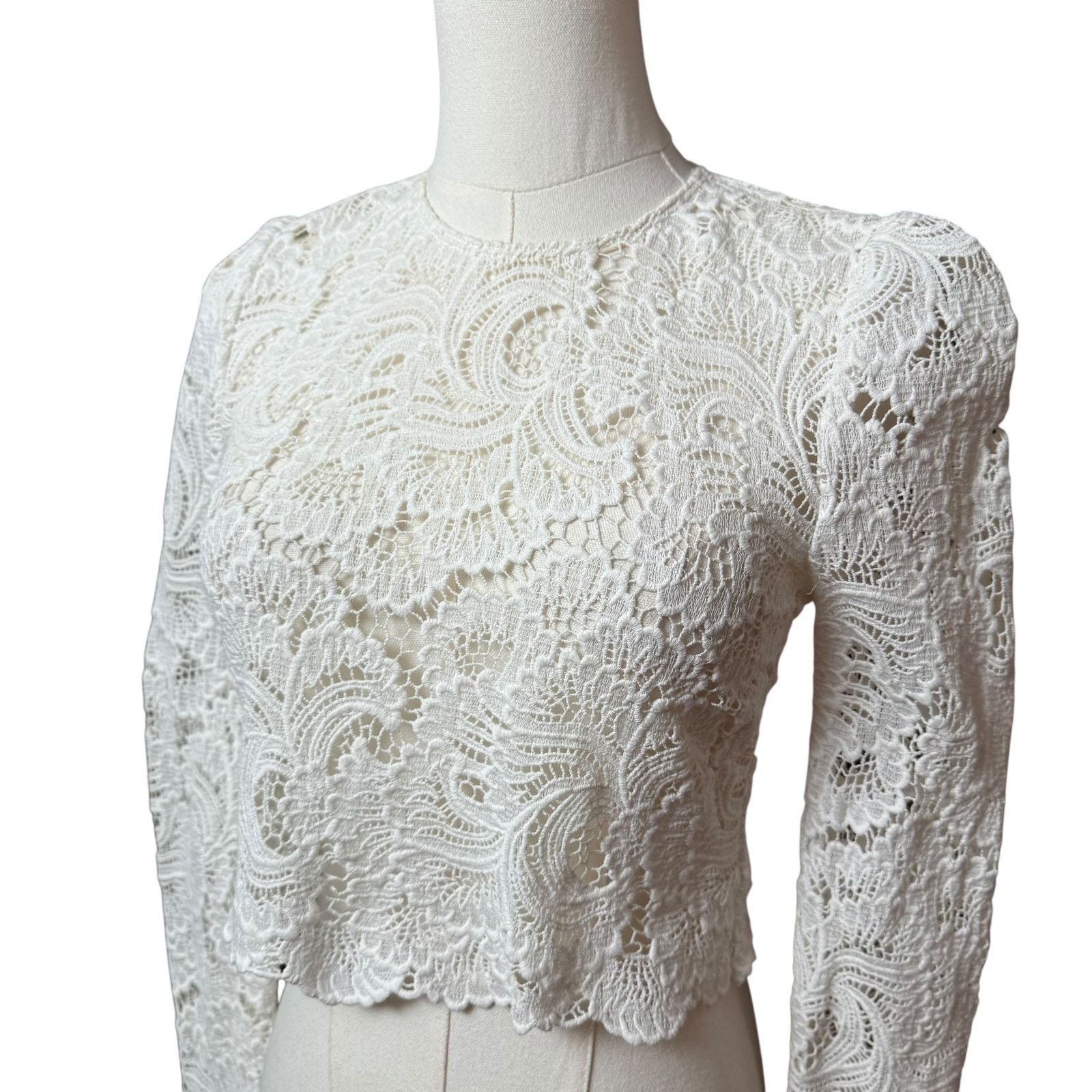 A.L.C. A.L.C. Talia Lace Cropped Top 0 Long Sleeves Buttoned Cuffs Size XS / US 0-2 / IT 36-38 - 7 Thumbnail