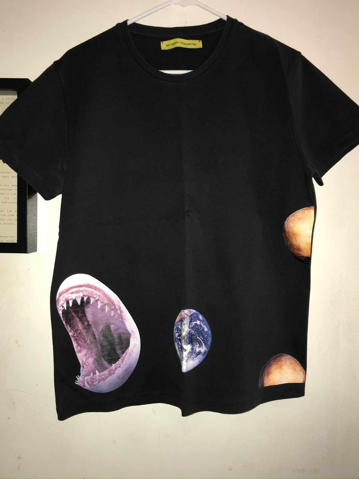 Raf Simons × Sterling Ruby