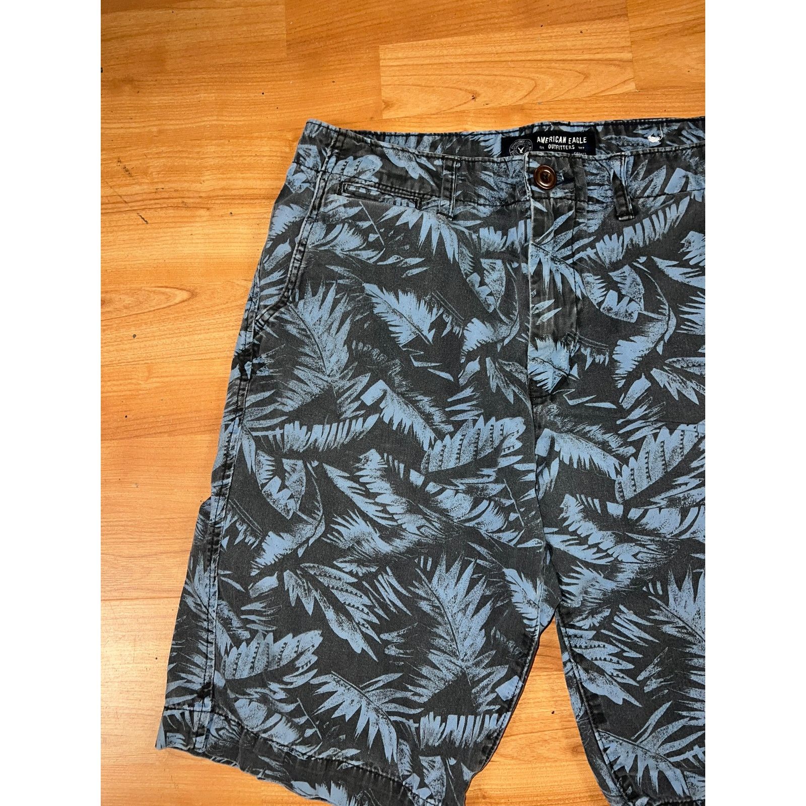 American Eagle Outfitters American Eagle Longboard Shorts Outfitter Long Board Blue 30 Size US 30 / EU 46 - 2 Thumbnail