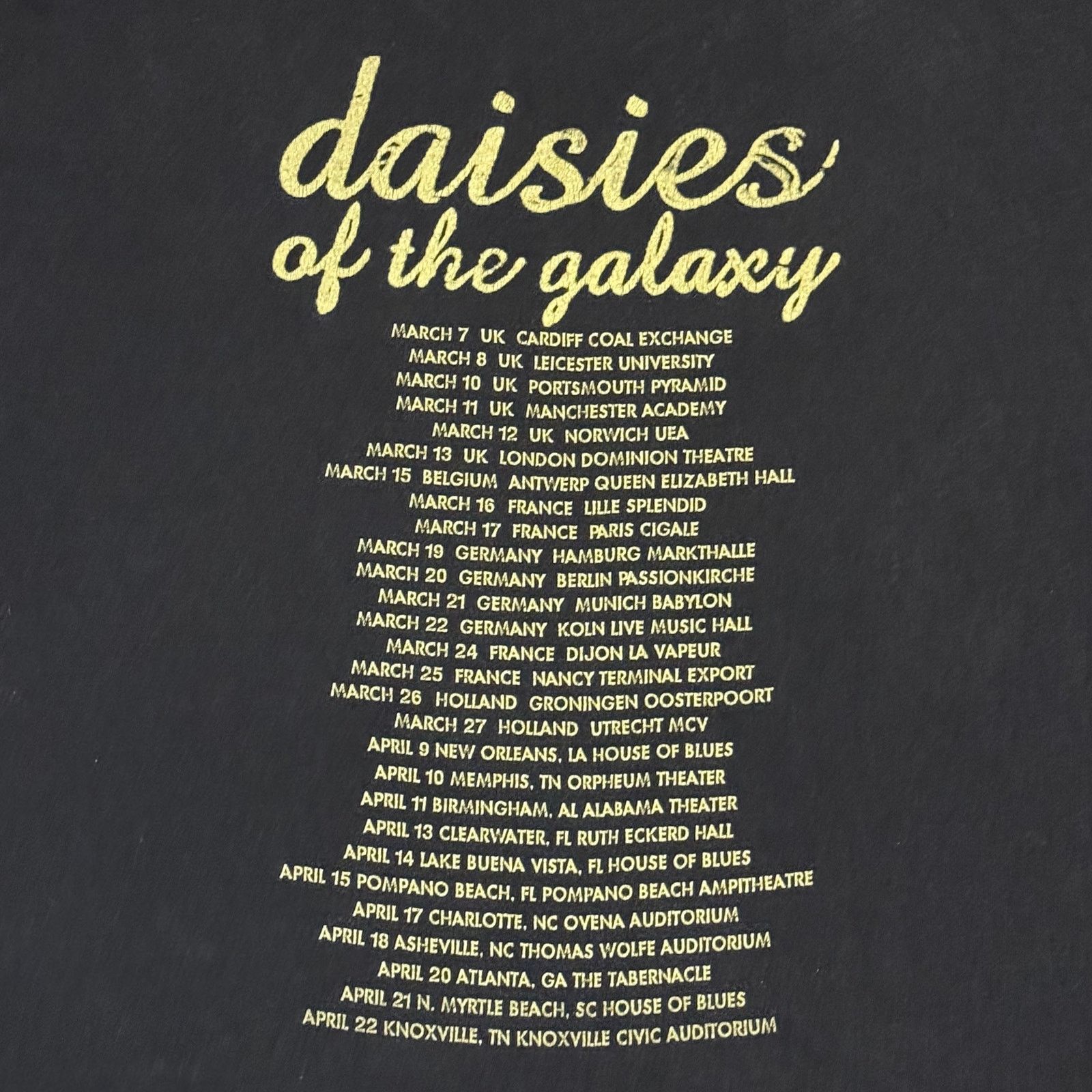 Band Tees × Tultex × Vintage Vintage Eels Daisies of the Galaxy Shirt Large 2000 Indie Size US L / EU 52-54 / 3 - 4 Thumbnail
