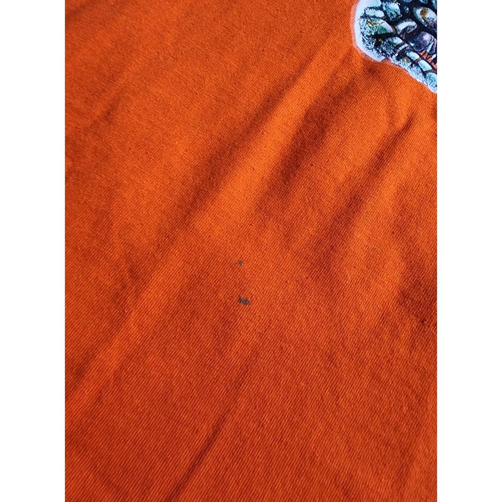 Jerzees VINTAGE Jerzees Florida Alligator Gator Glitter Graphic T Shirt Mens XL Orange 90s Beach Boys Girls? Size US XL / EU 56 / 4 - 5 Thumbnail