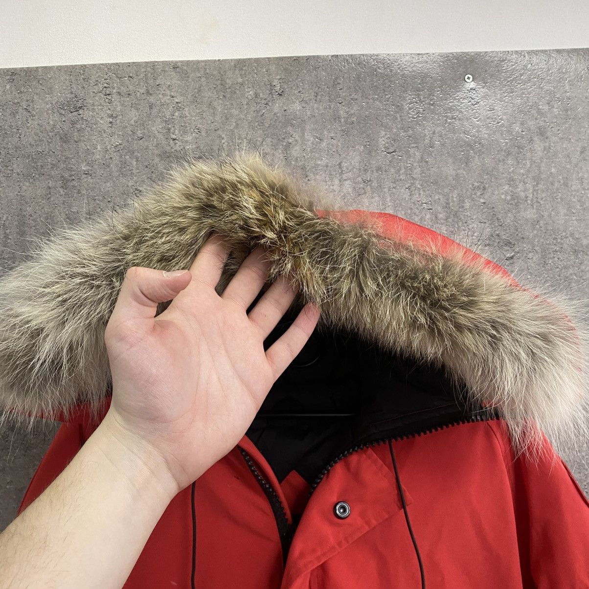 Canada Goose Canada Goose Chilliwack Bomber Jacket Size US L / EU 52-54 / 3 - 7 Thumbnail