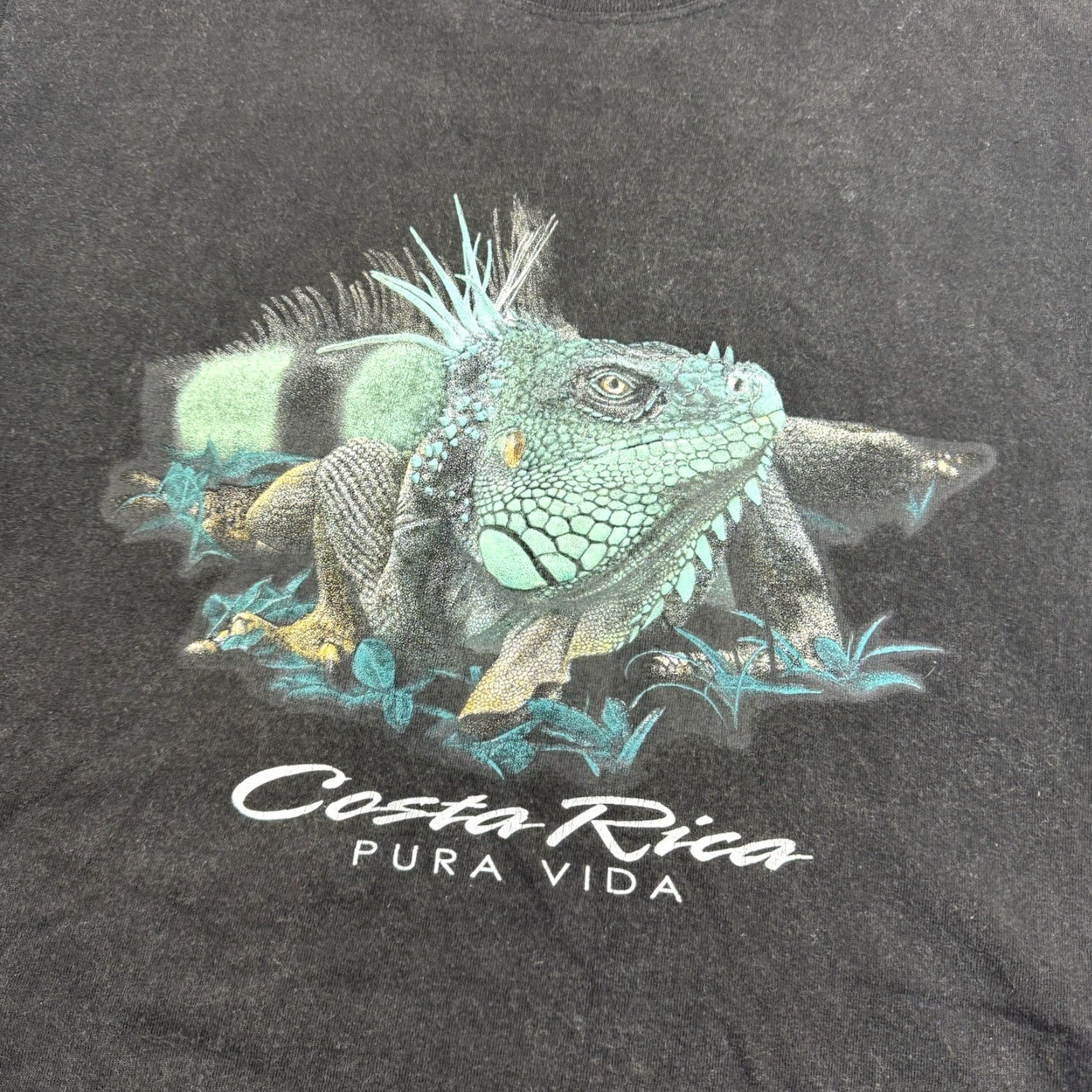 Vintage Vintage Costa Rica Shirt Adult Medium Black Iguana Animal Nature Tropical USA Size US M / EU 48-50 / 2 - 2 Thumbnail
