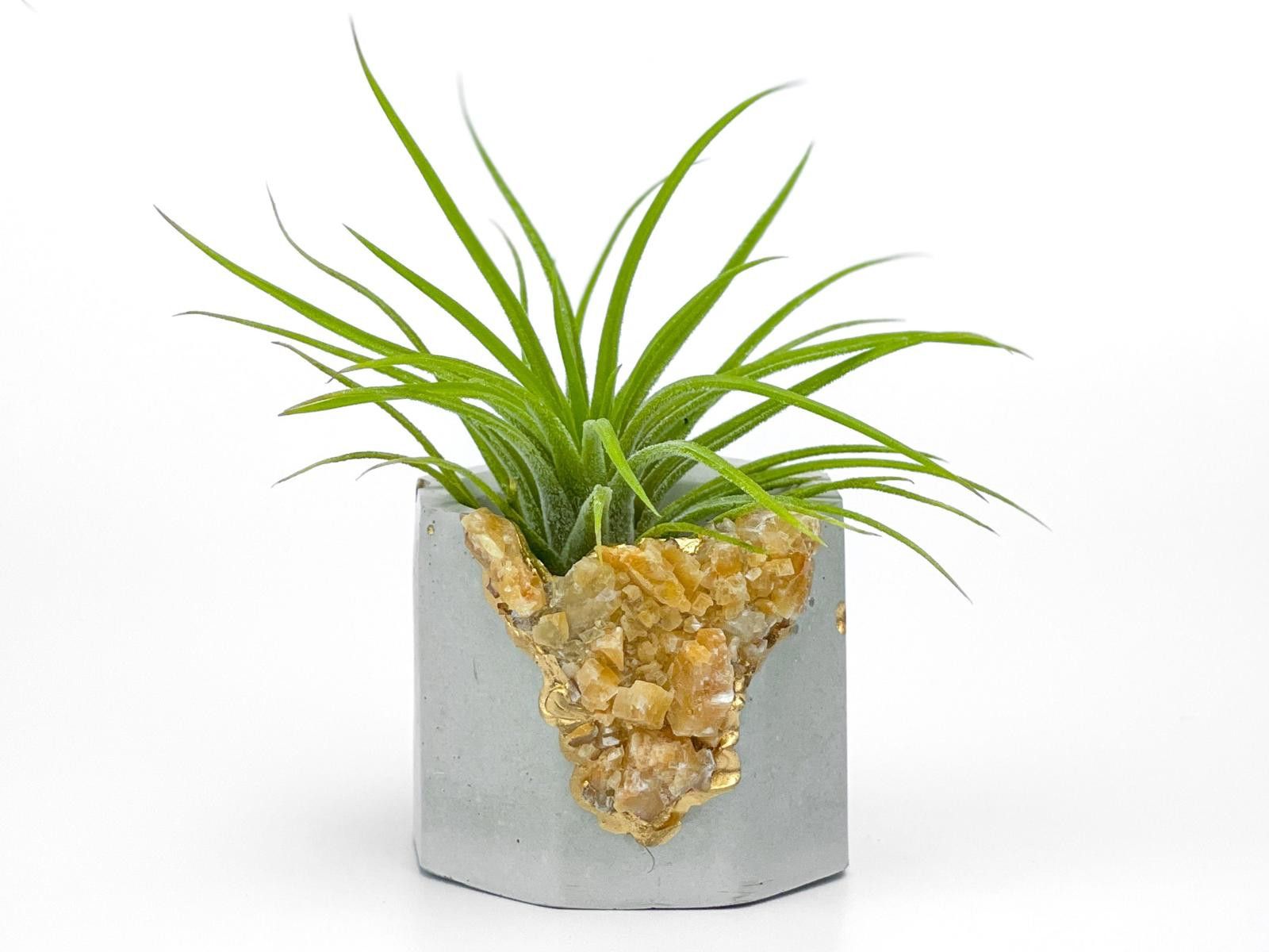 Other Raw Orange Calcite Crystal Planter Geode Planter Mini cute Size ONE SIZE - 5 Thumbnail