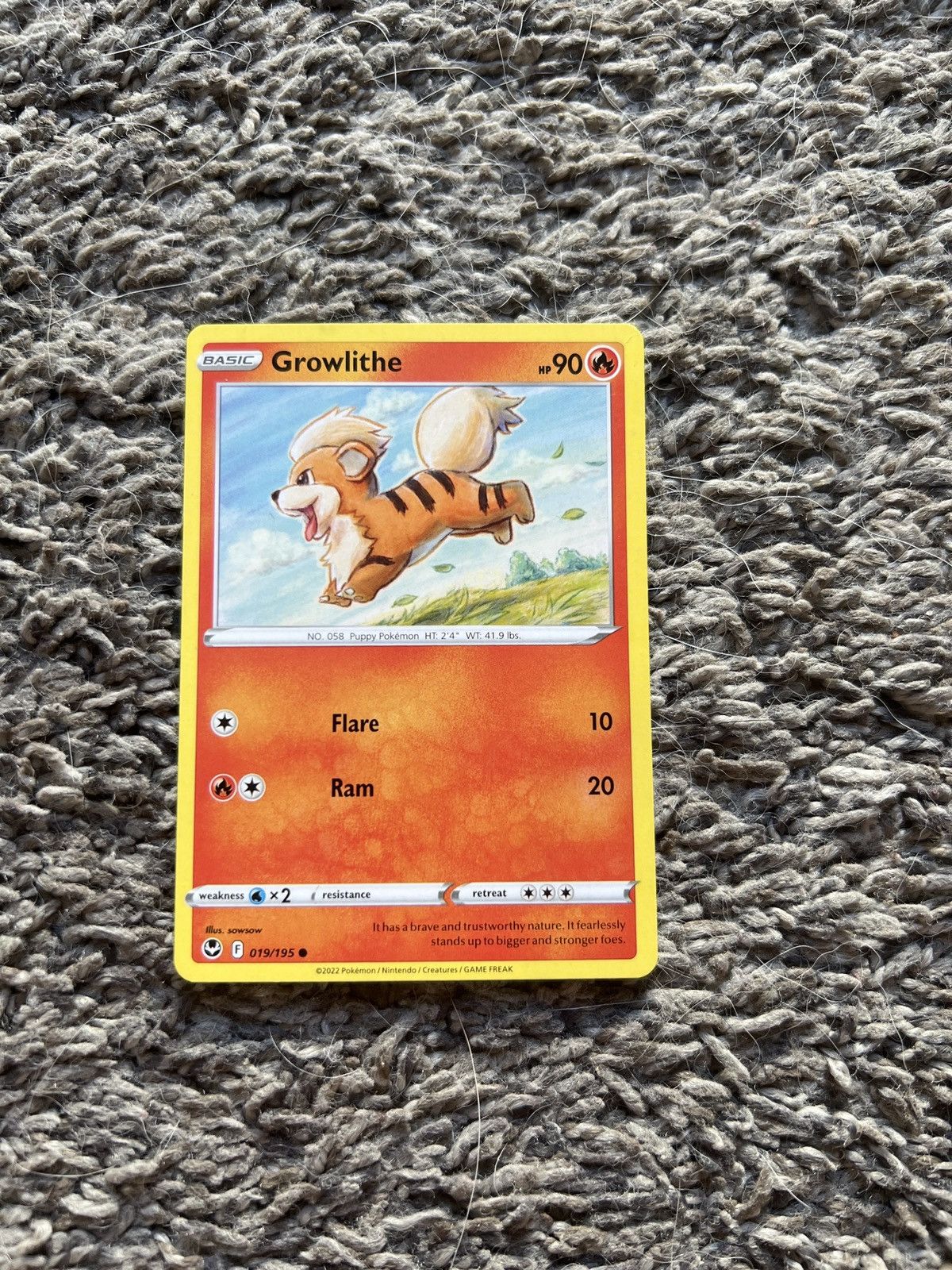 Pokemon 2022 Pokémon Growlithe Basic Card Size ONE SIZE - 1 Thumbnail