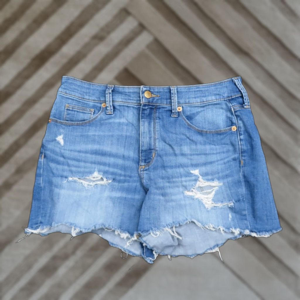 Zara High Rise Distressed Jean Shorts