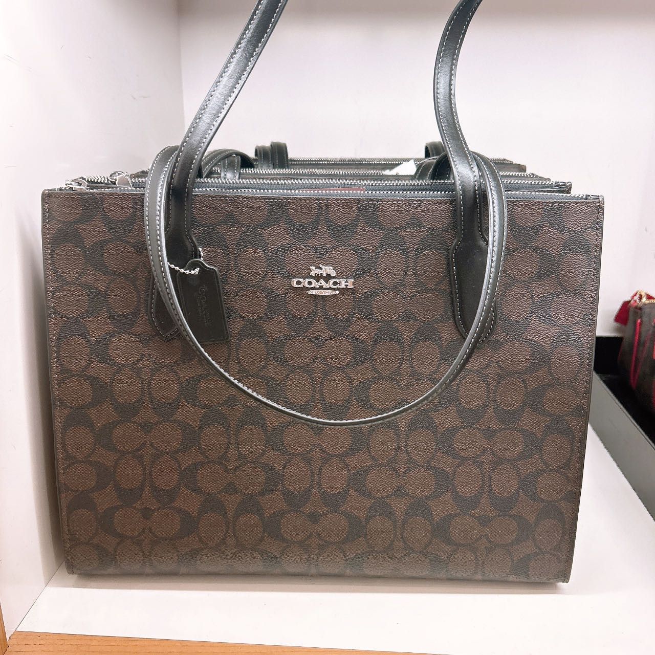 Nina Tote In Signature Canvas
