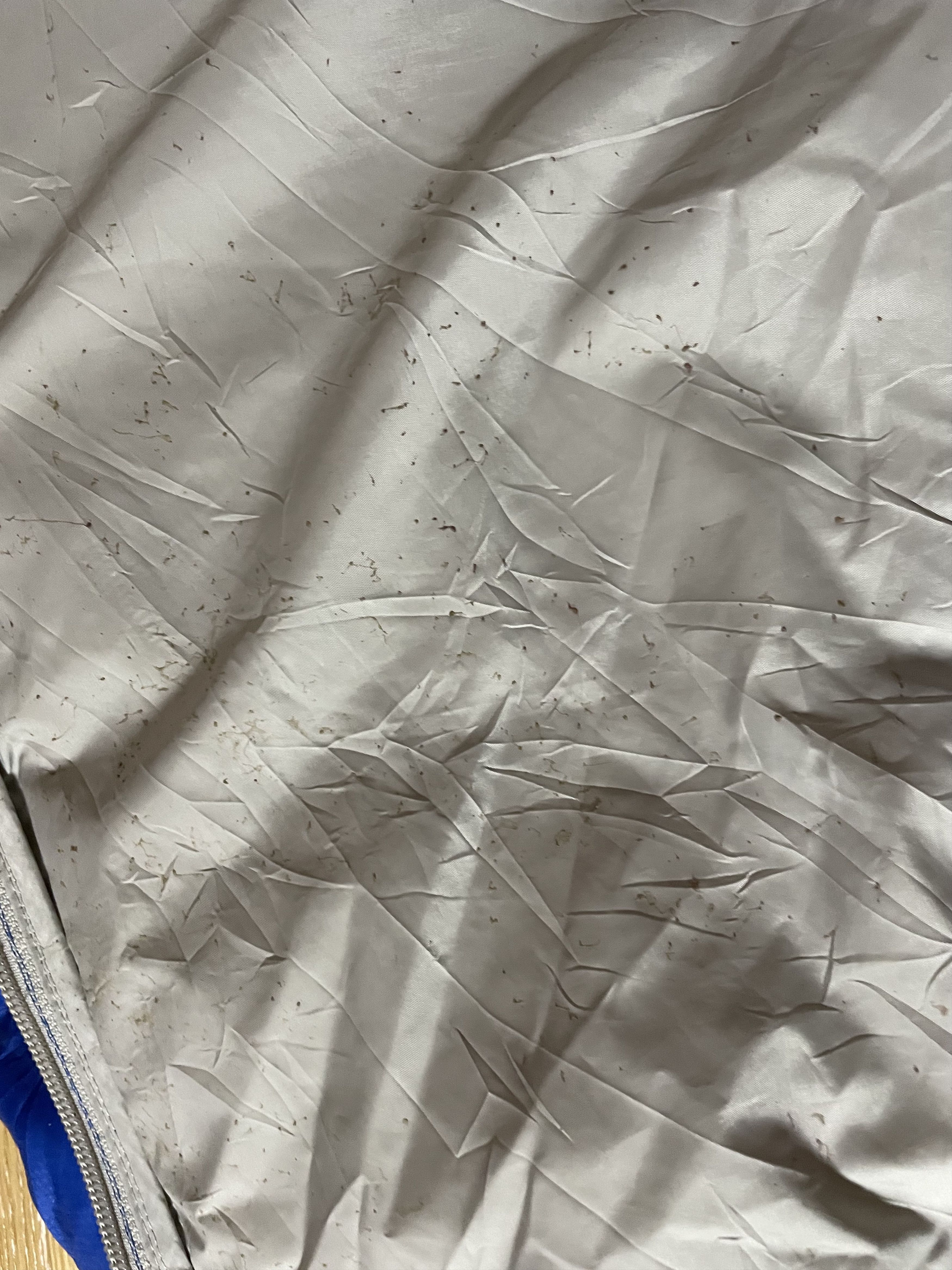 Nike Nike Blue Puffer Jacket with Hood Size US L / EU 52-54 / 3 - 9 Thumbnail
