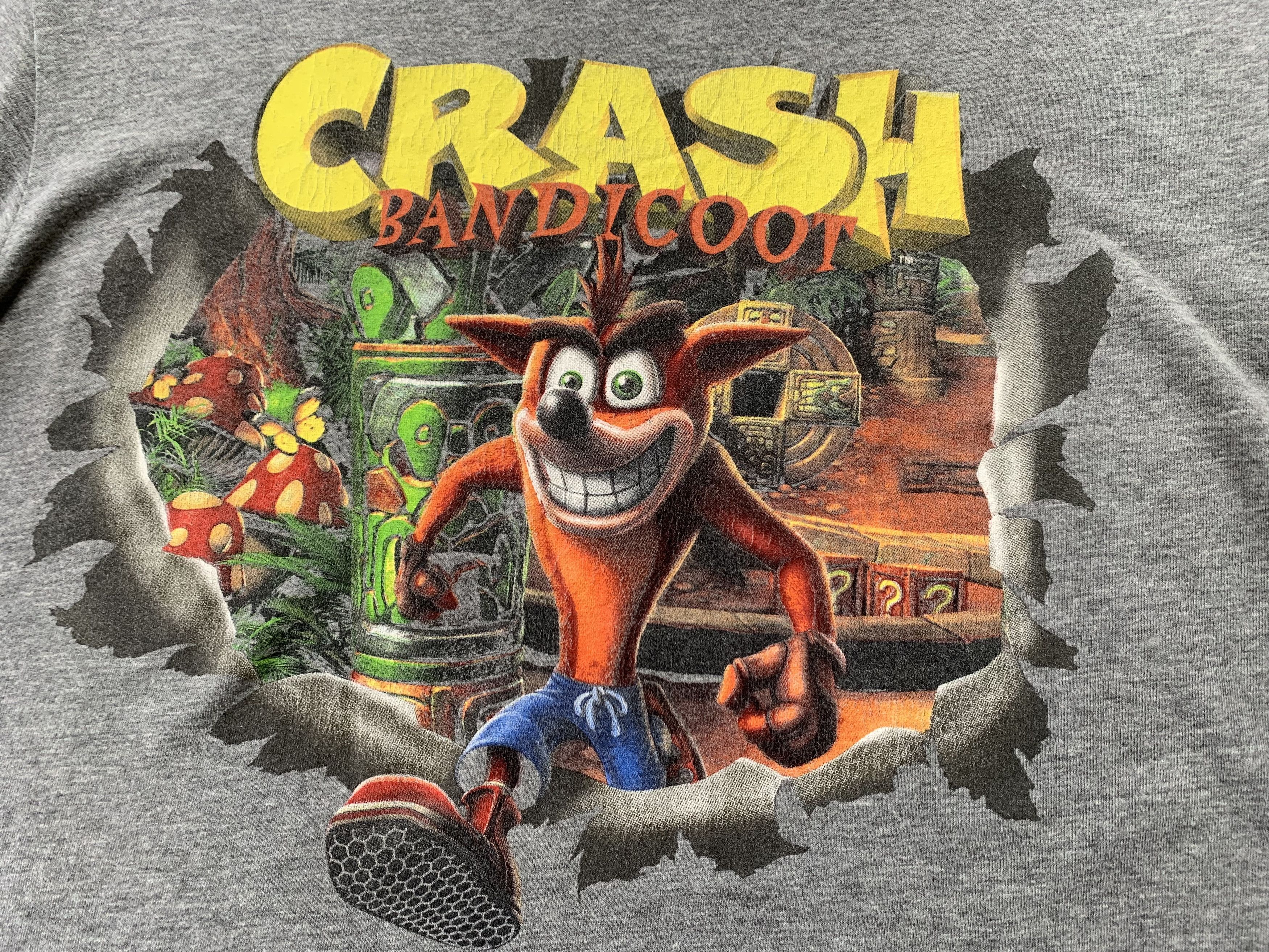 Cartoon Network Crash Bandicoot Grey Printed T-Shirt Size US L / EU 52-54 / 3 - 6 Thumbnail