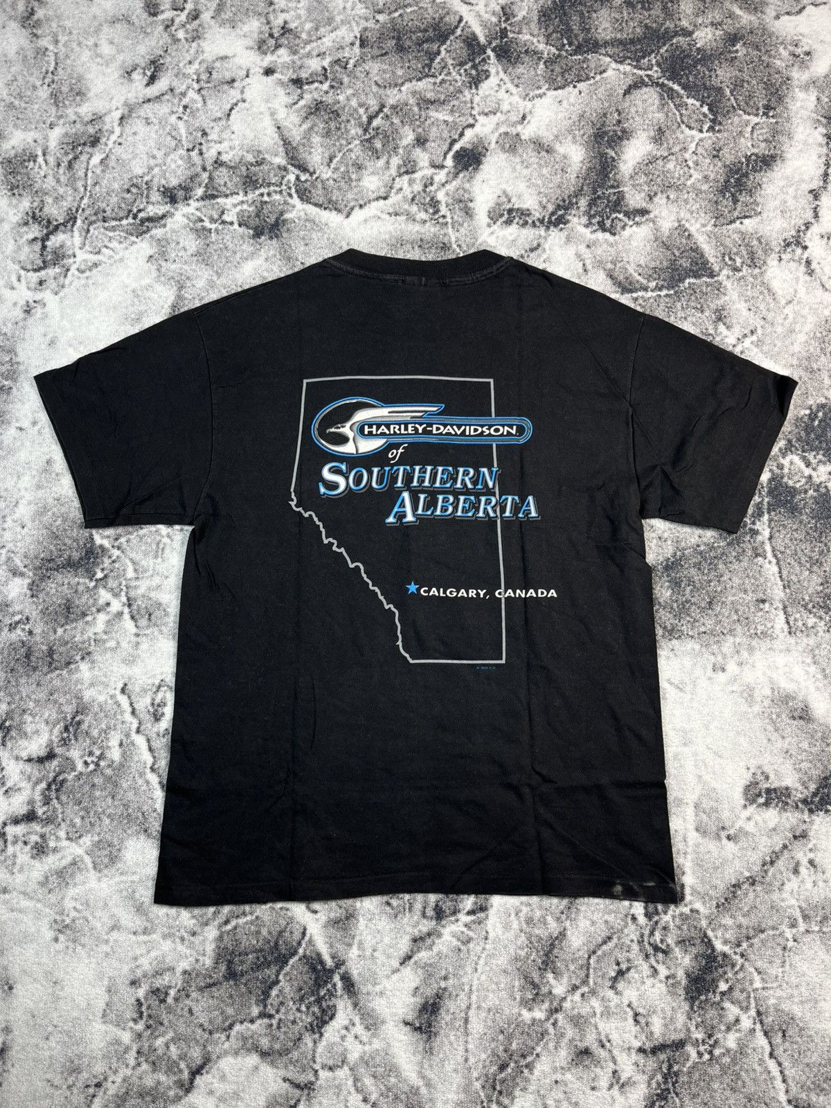 Harley Davidson Harley Davidson Eagle 1996 Southern Alberta Vintage Tee Size US L / EU 52-54 / 3 - 8 Thumbnail