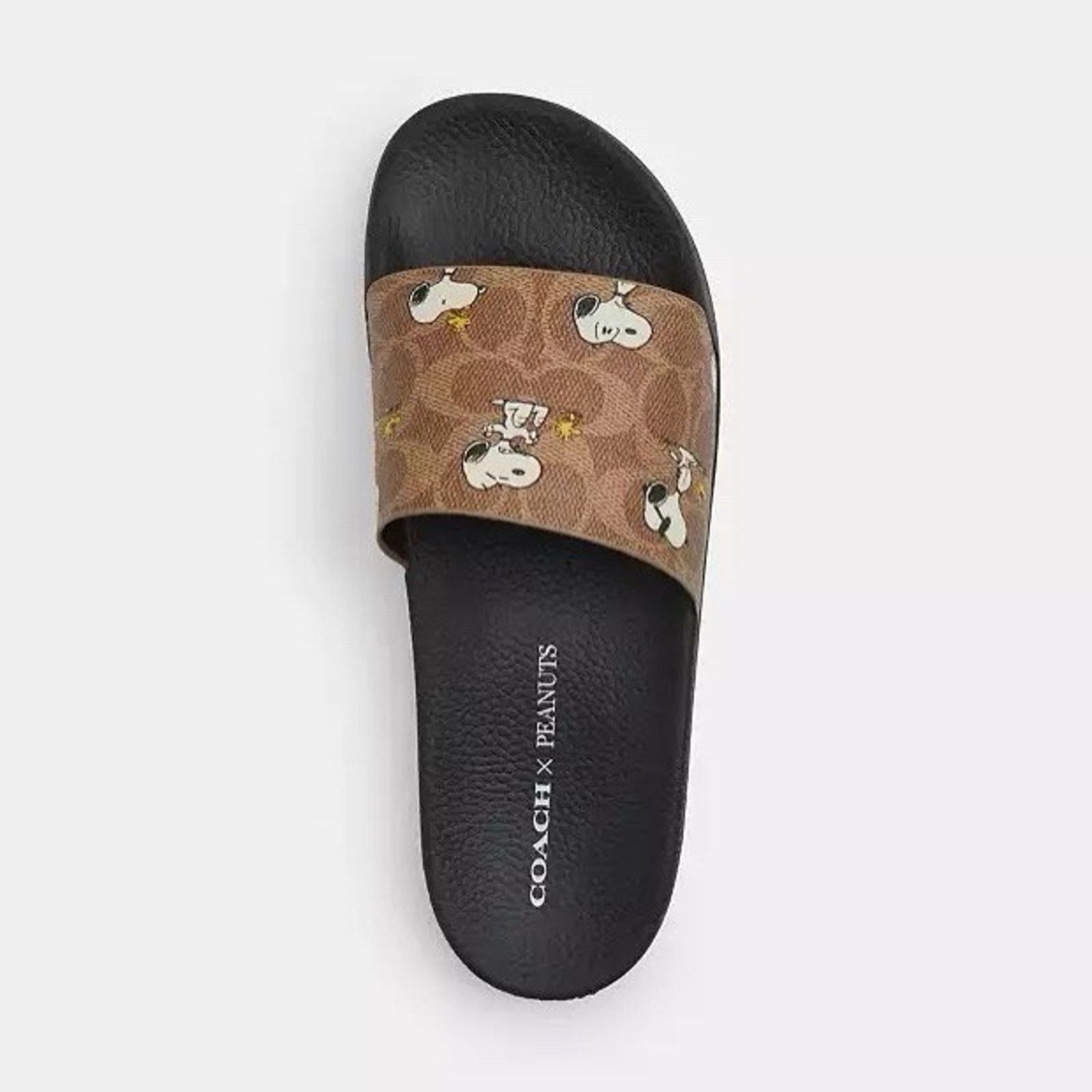 Coach NWT Coach X Peanuts Woman Udele Sport Slide Snoopy CBM96 US6 Size US 6 / IT 36 - 6 Thumbnail