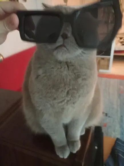 Designer × Electric Visual × Vintage Y2K Asymmetrical Size Eyebrow Sunglasses Streetwear Size ONE SIZE - 4 Thumbnail