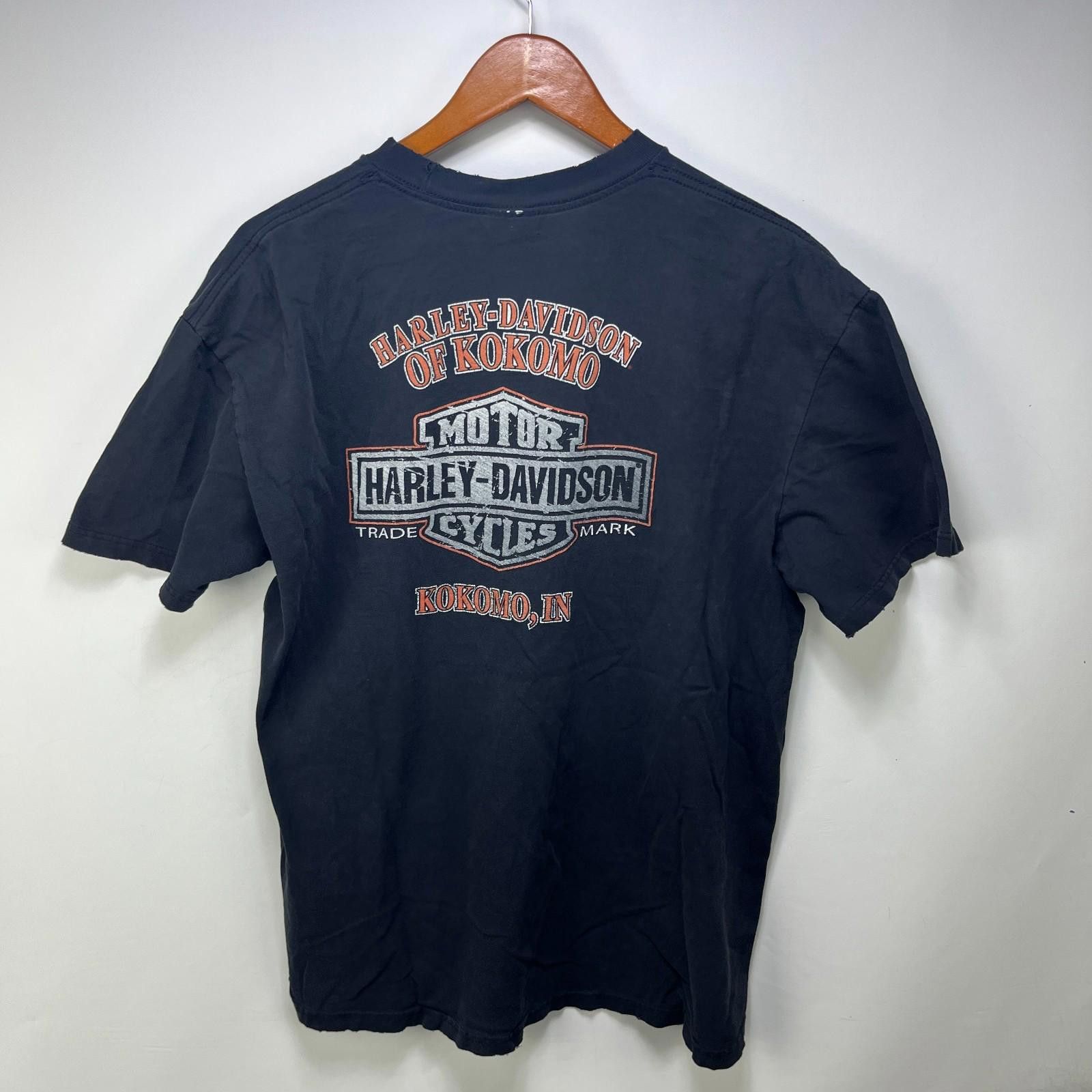 Harley Davidson Vintage Harley Davidson Sun Faded Wings Flames T Shirt XL Size US XL / EU 56 / 4 - 5 Thumbnail