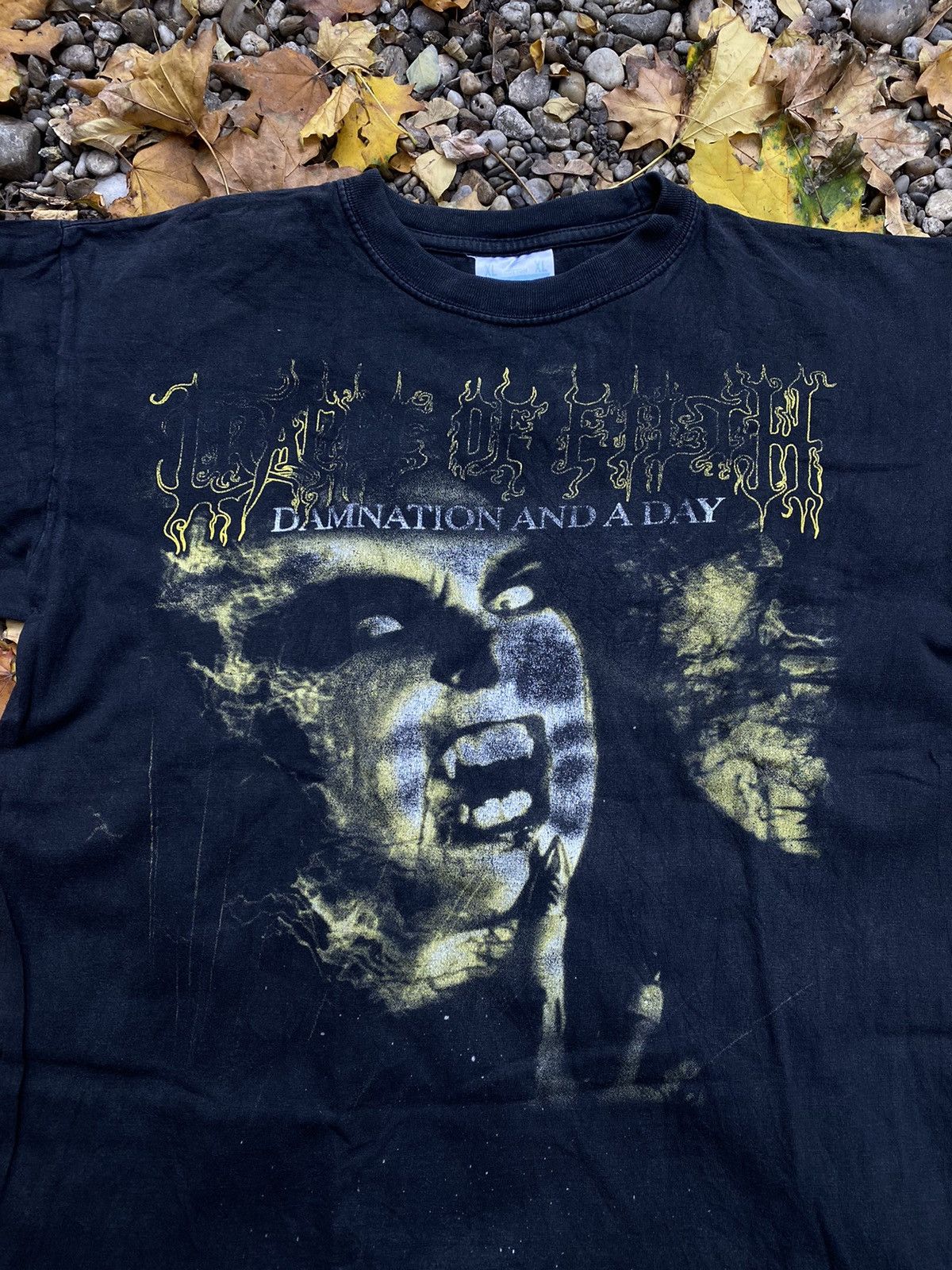 Band Tees × Vintage Vintage 90s Cradle Of Filth Damnation And A Day T-Shirt Size US XL / EU 56 / 4 - 2 Thumbnail