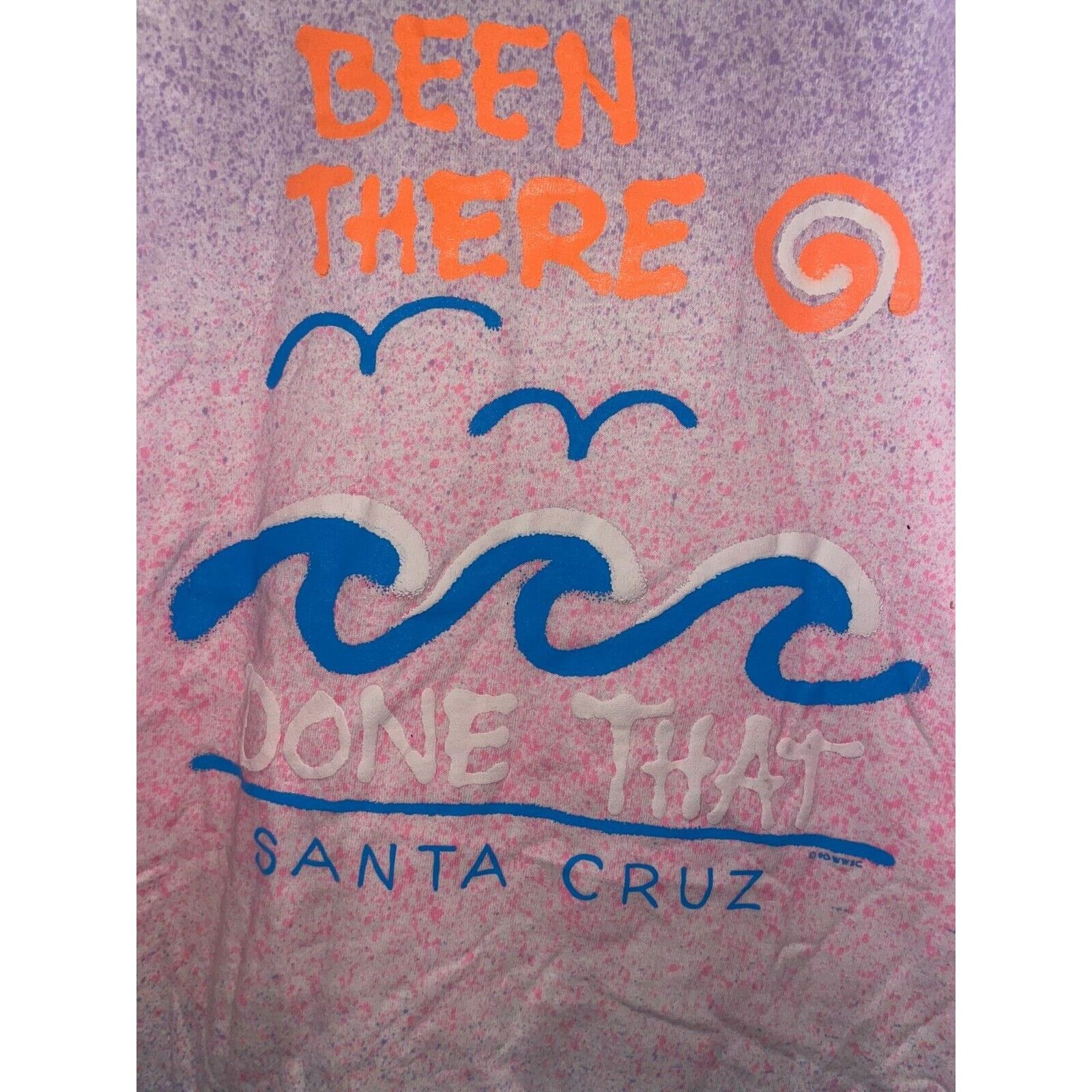 Fruit Of The Loom × Vintage Vintage Santa Cruz Shirt Been There Done That Tee VTG 90s M Size US M / EU 48-50 / 2 - 5 Thumbnail