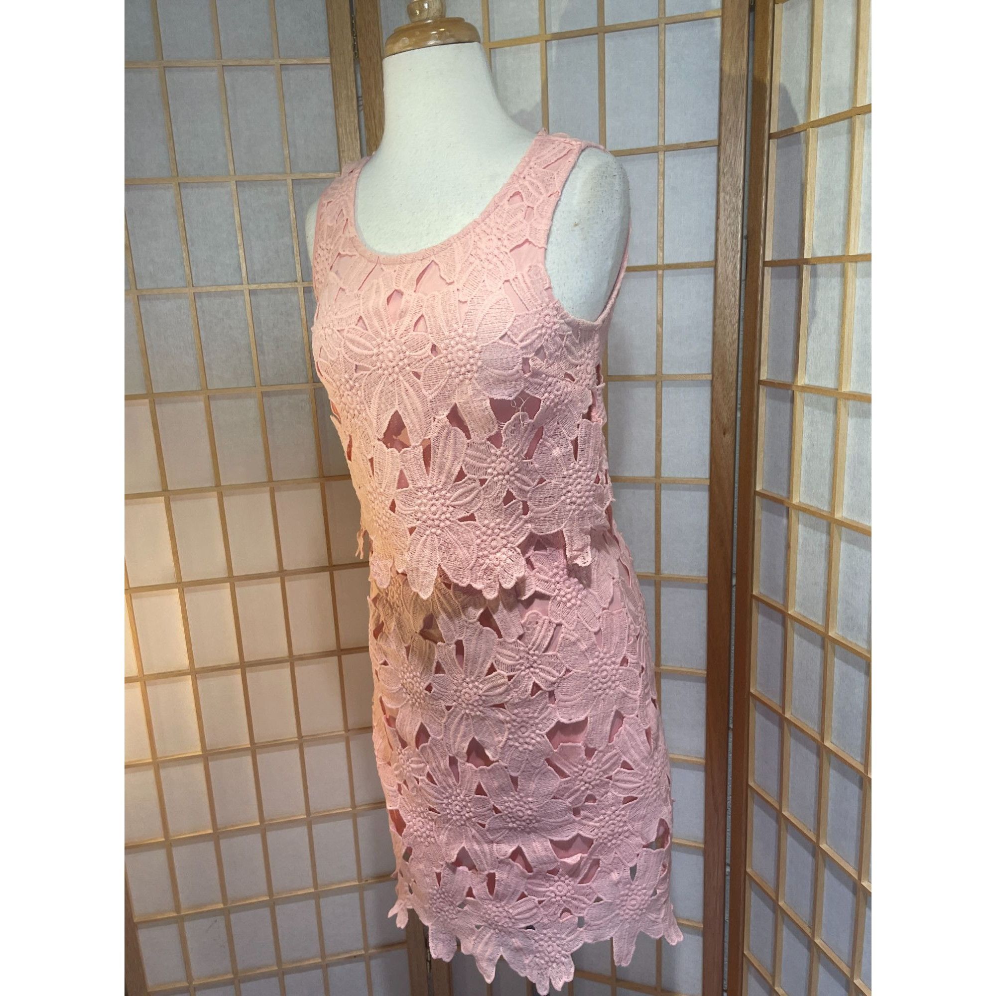 Other Francesca's Miami Sm Lace Floral Dress Size S / US 4 / IT 40 - 10 Thumbnail