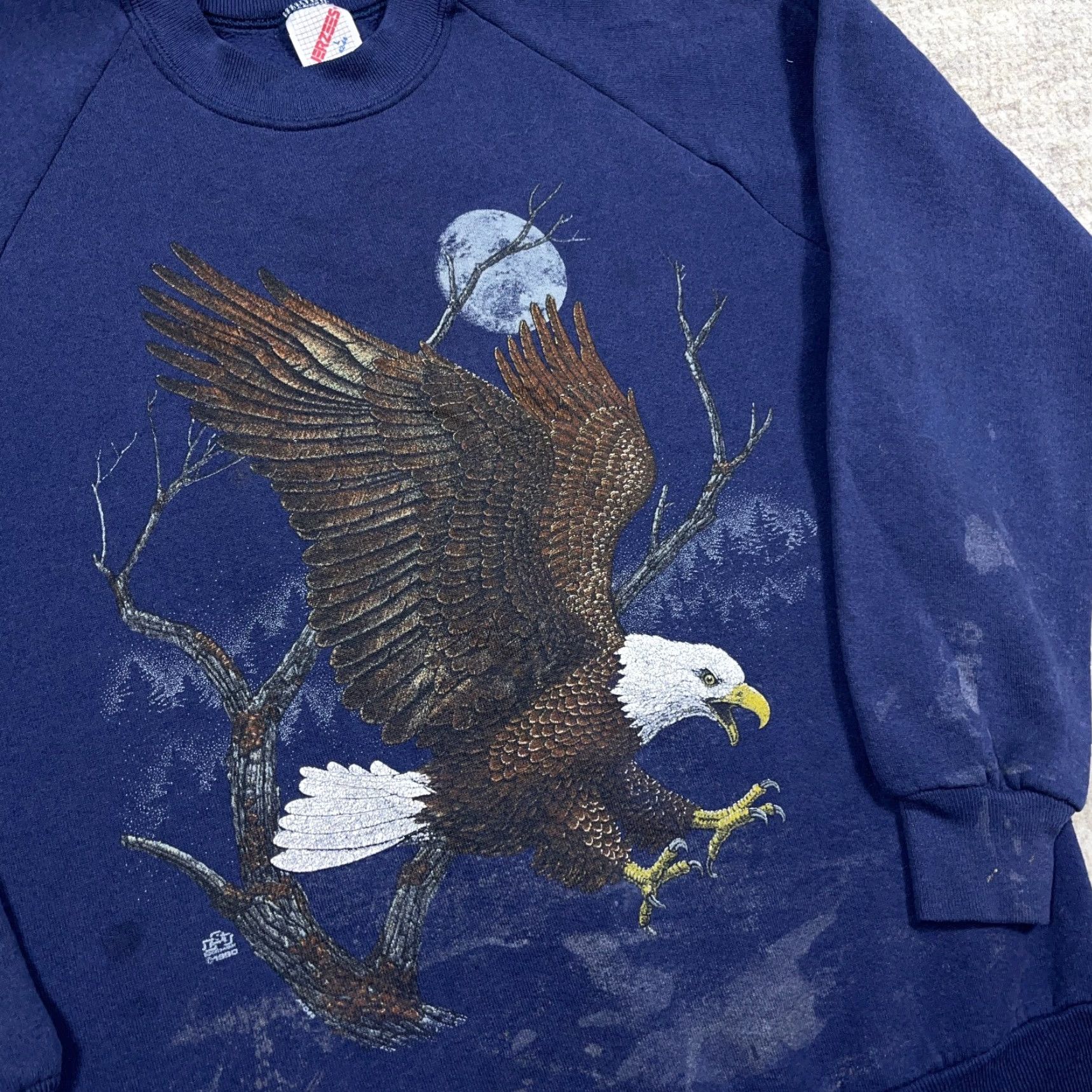 Jerzees Vintage Jerzees Blue Crewneck Sweatshirt Men L Indoor 90s USA Nature Graphic Print Bald Eagle, Faded Grunge, Classic Retro 80s 90s Shirt Mens Size US L / EU 52-54 / 3 - 6 Thumbnail