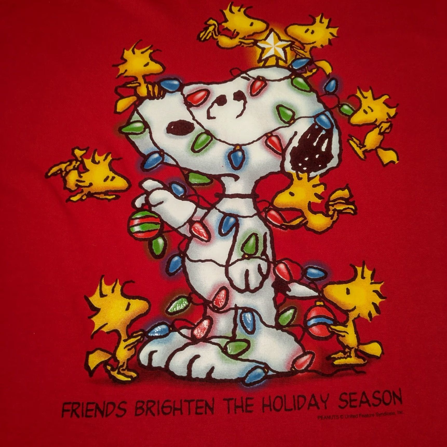 Peanuts VINTAGE Peanuts Snoopy Woodstock Shirt Large Red Christmas Lights Holiday Knits Crew Neck Men L Red Graphic T-Shirt Mens Size US L / EU 52-54 / 3 - 5 Thumbnail