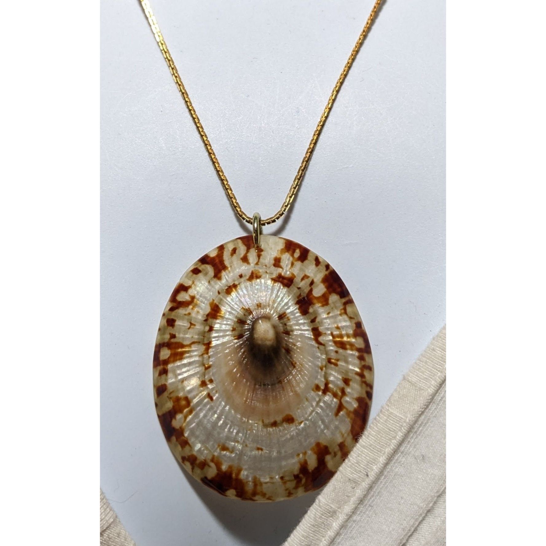 Other Limpet Shell Pendant Necklace Size ONE SIZE - 6 Thumbnail
