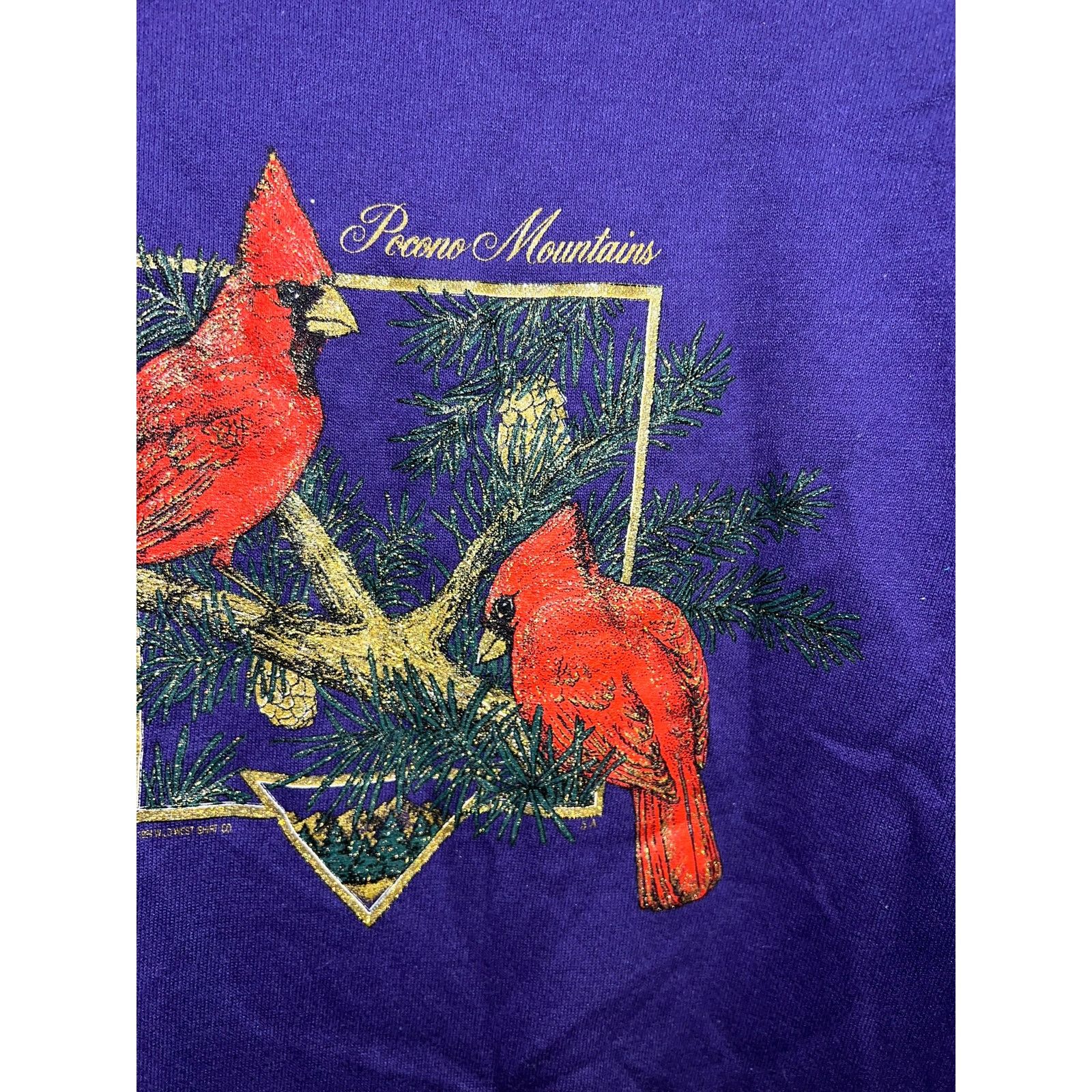 Jerzees Vintage Pocono Mountains Sweatshirt Cardinal Bird Large 90s Size US L / EU 52-54 / 3 - 5 Thumbnail