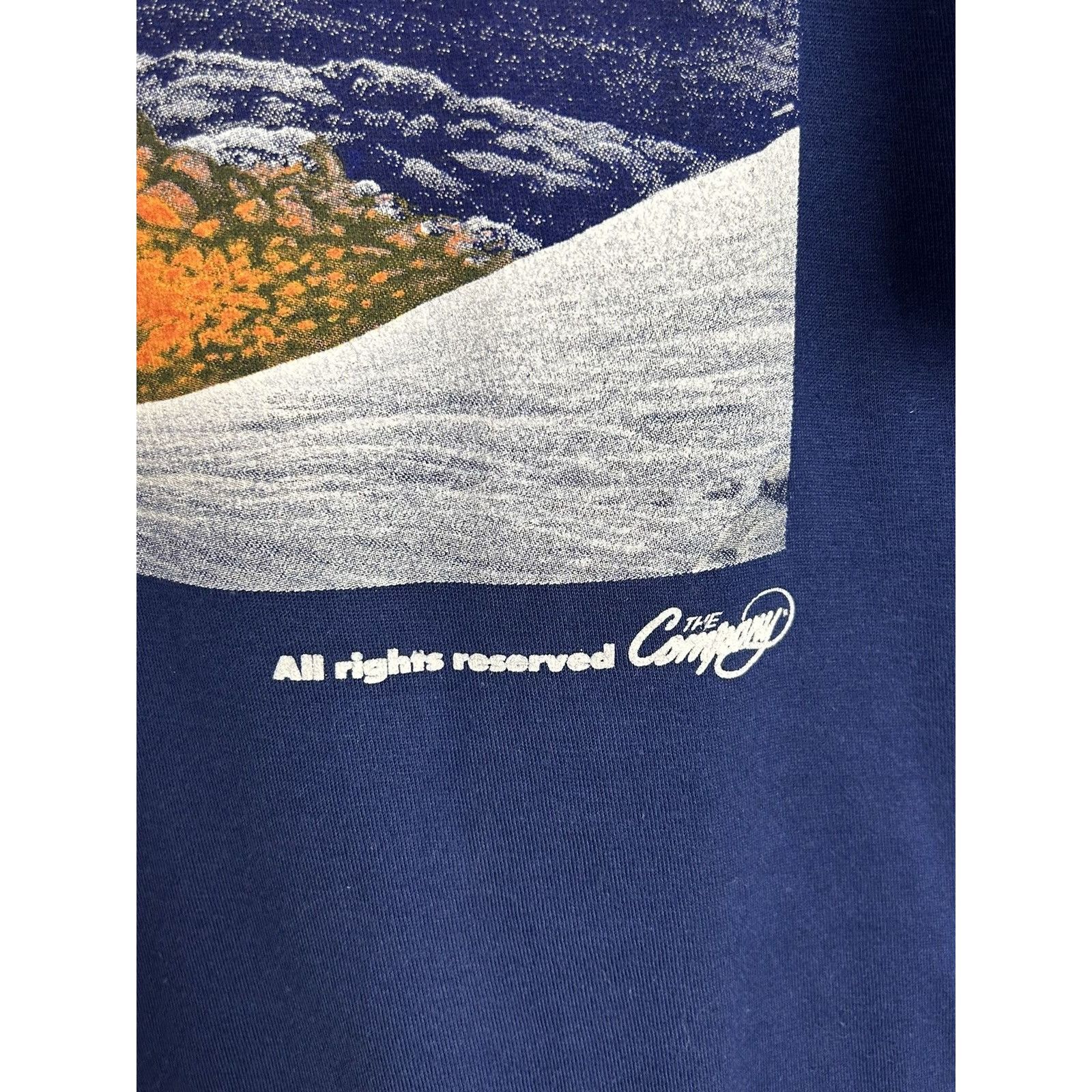 Vintage 90s Vintage William Sarabande Book Writer Singe Stitch Tee Size US XL / EU 56 / 4 - 4 Thumbnail