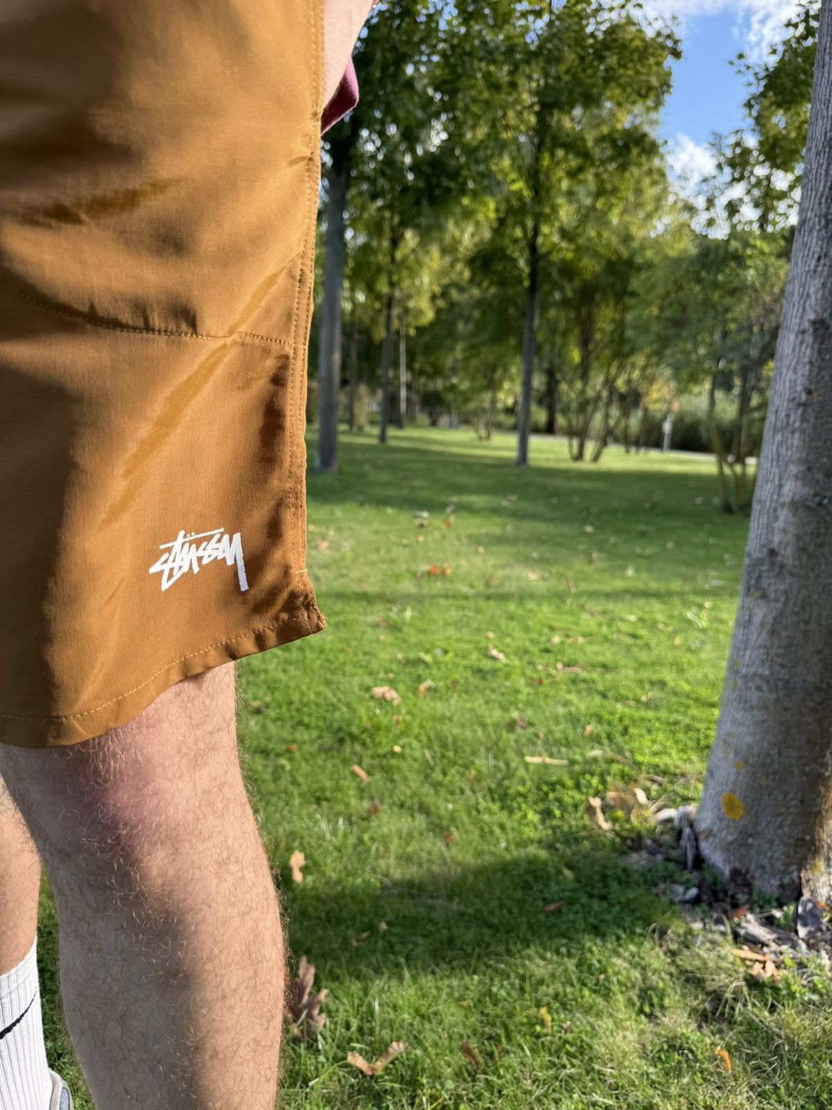 Stussy Stussy Water Coyote Shorts Size US 30 / EU 46 - 2 Thumbnail