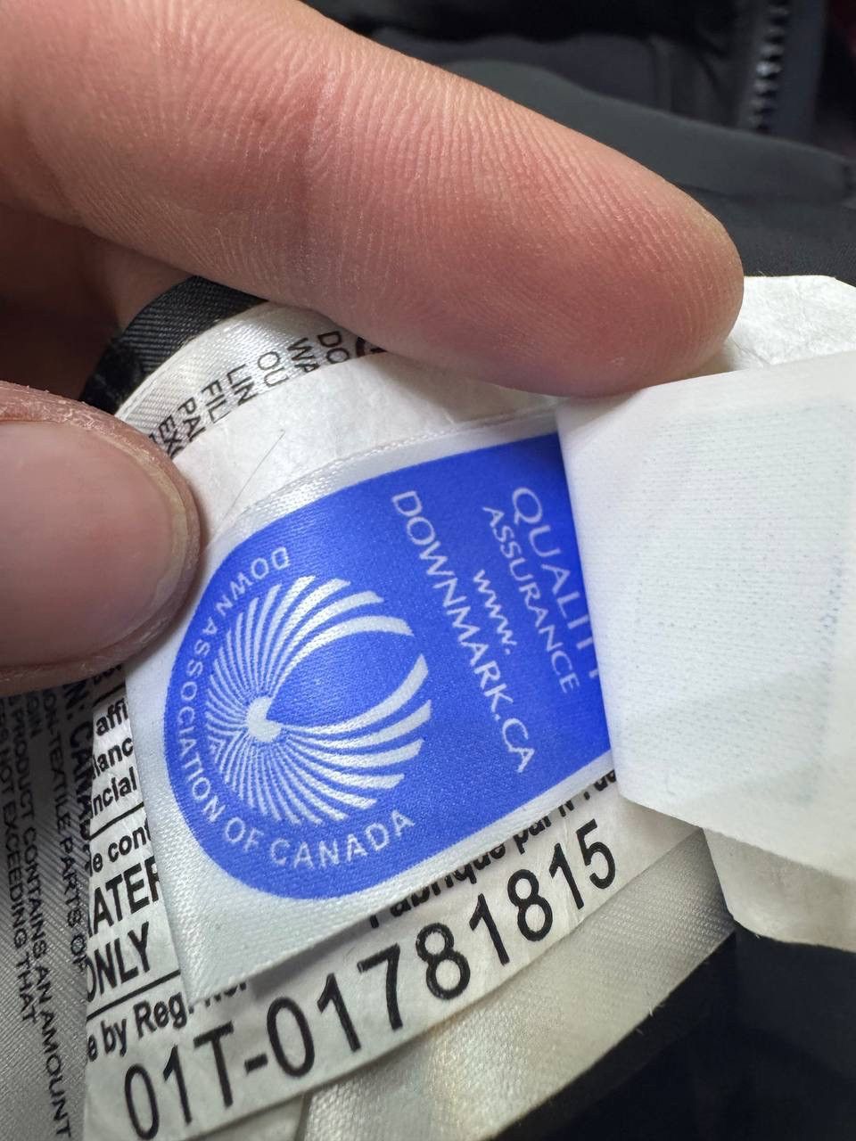 Canada Goose Canada Goose jacket Size US M / EU 48-50 / 2 - 10 Thumbnail