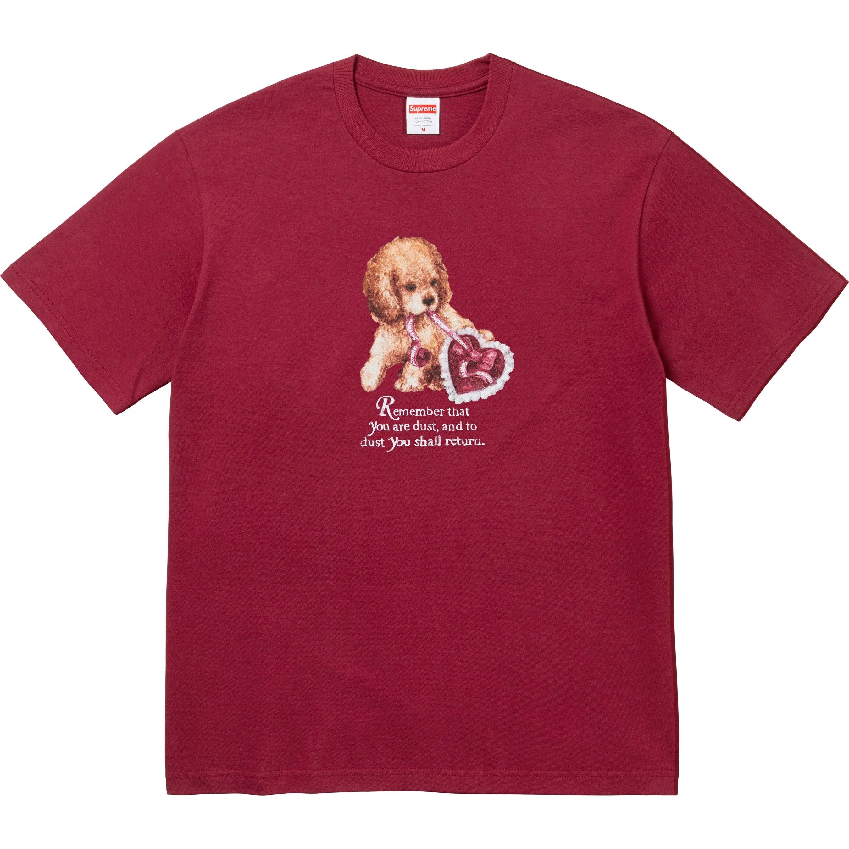 Supreme Supreme Dust Tee Size US XXL / EU 58 / 5 - 1 Thumbnail