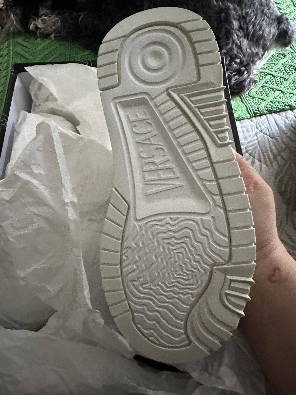Versace New versace shoes Size US 6.5 / IT 36.5 - 7 Thumbnail