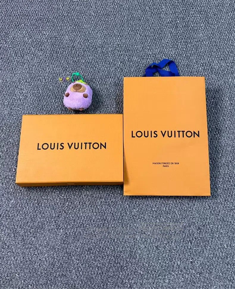 Louis Vuitton Gray-blue double-sided full-printed logo tas