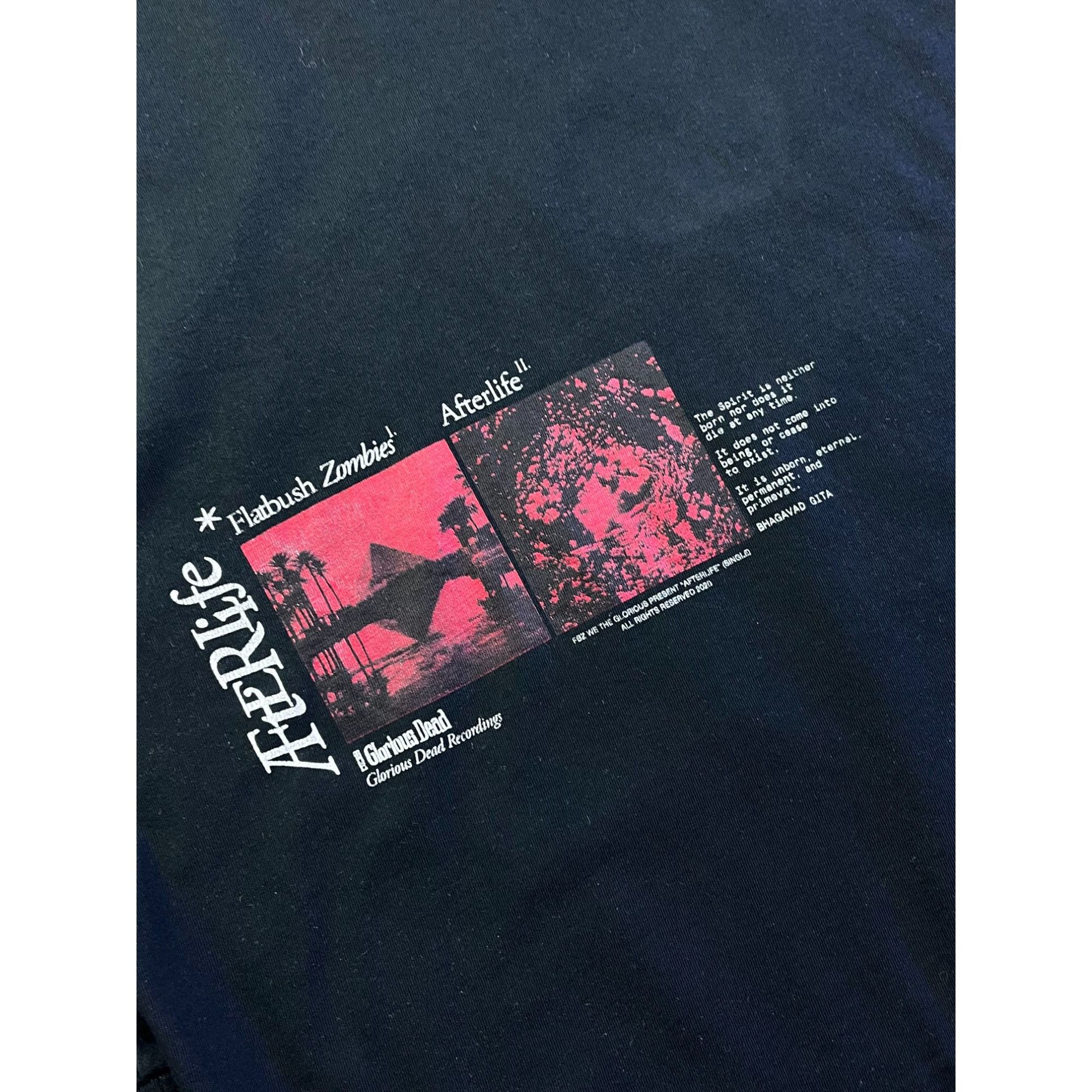 Flatbush Zombies Flatbush Zombies "Afterlife" Long Sleeve Shirt Size US L / EU 52-54 / 3 - 5 Thumbnail